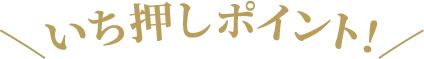 いち押しポイント！