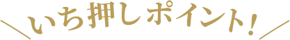 いち押しポイント！