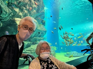 外出レクリエーション　アクアパーク品川　ニチイホームたまプラーザ