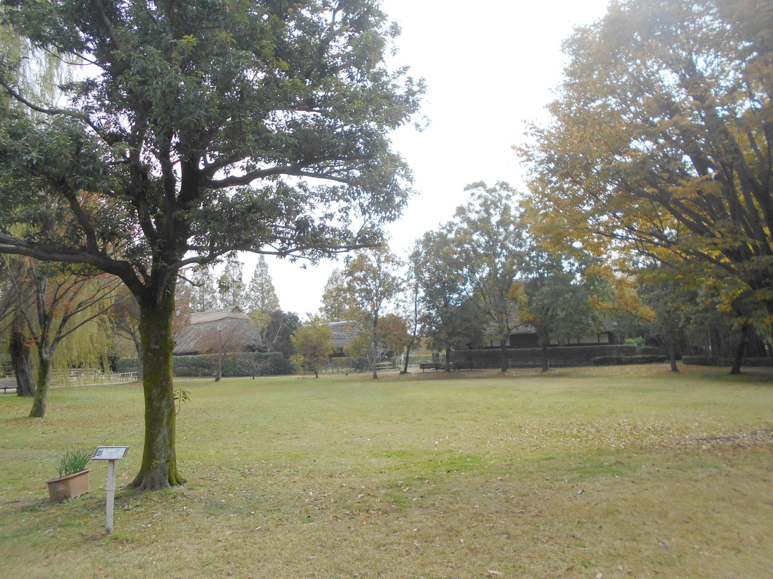 公園にお散歩-3　ニチイホーム東浦和