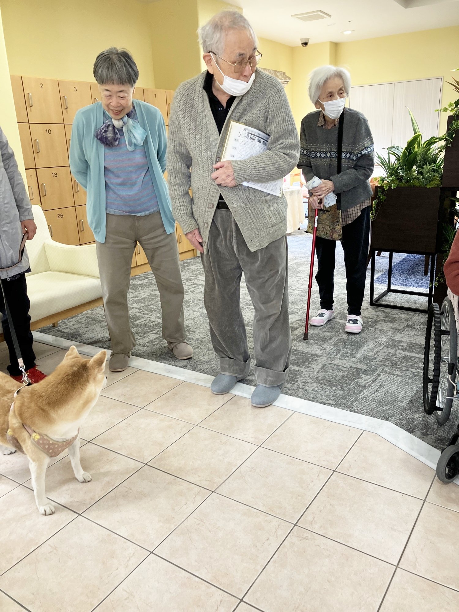 柴犬とのふれあい-4　ニチイホーム三鷹Ⅱ番館