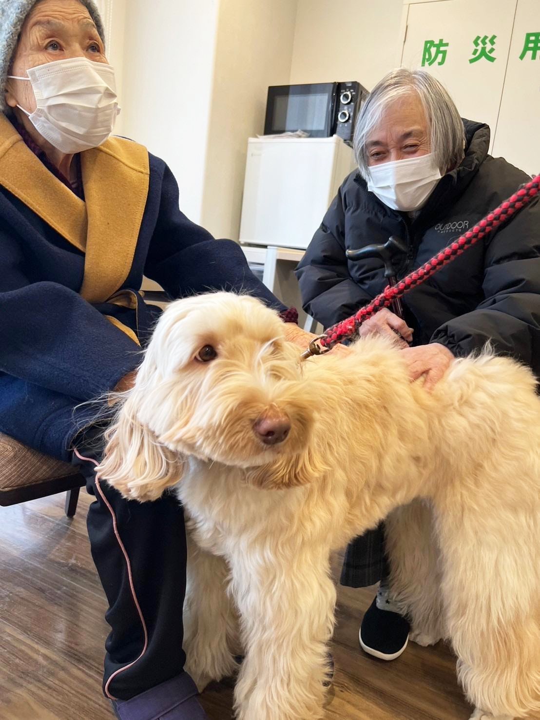 ワフトへ会いに行きました-3　ニチイホーム南大井