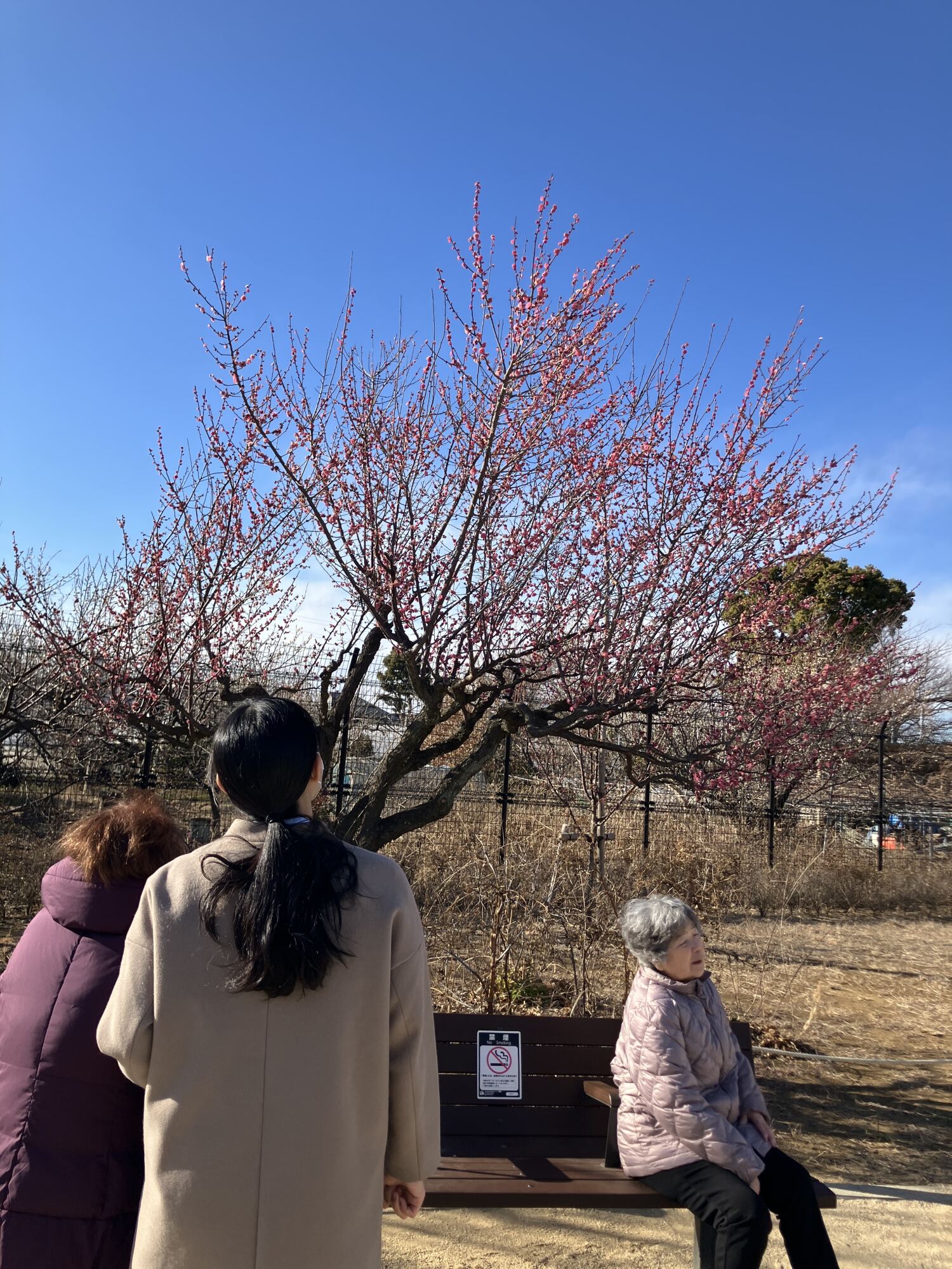 公園散歩-5　ニチイホーム杉並松庵