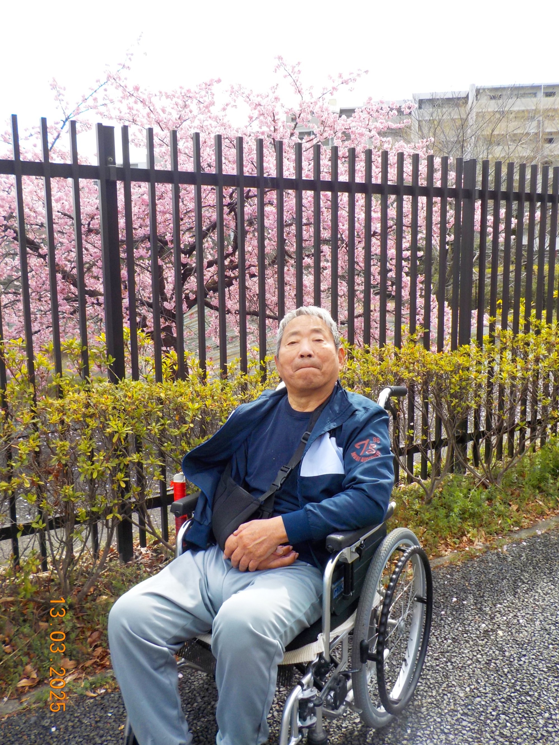 桜が咲きました！-1　ニチイホームはるひ野