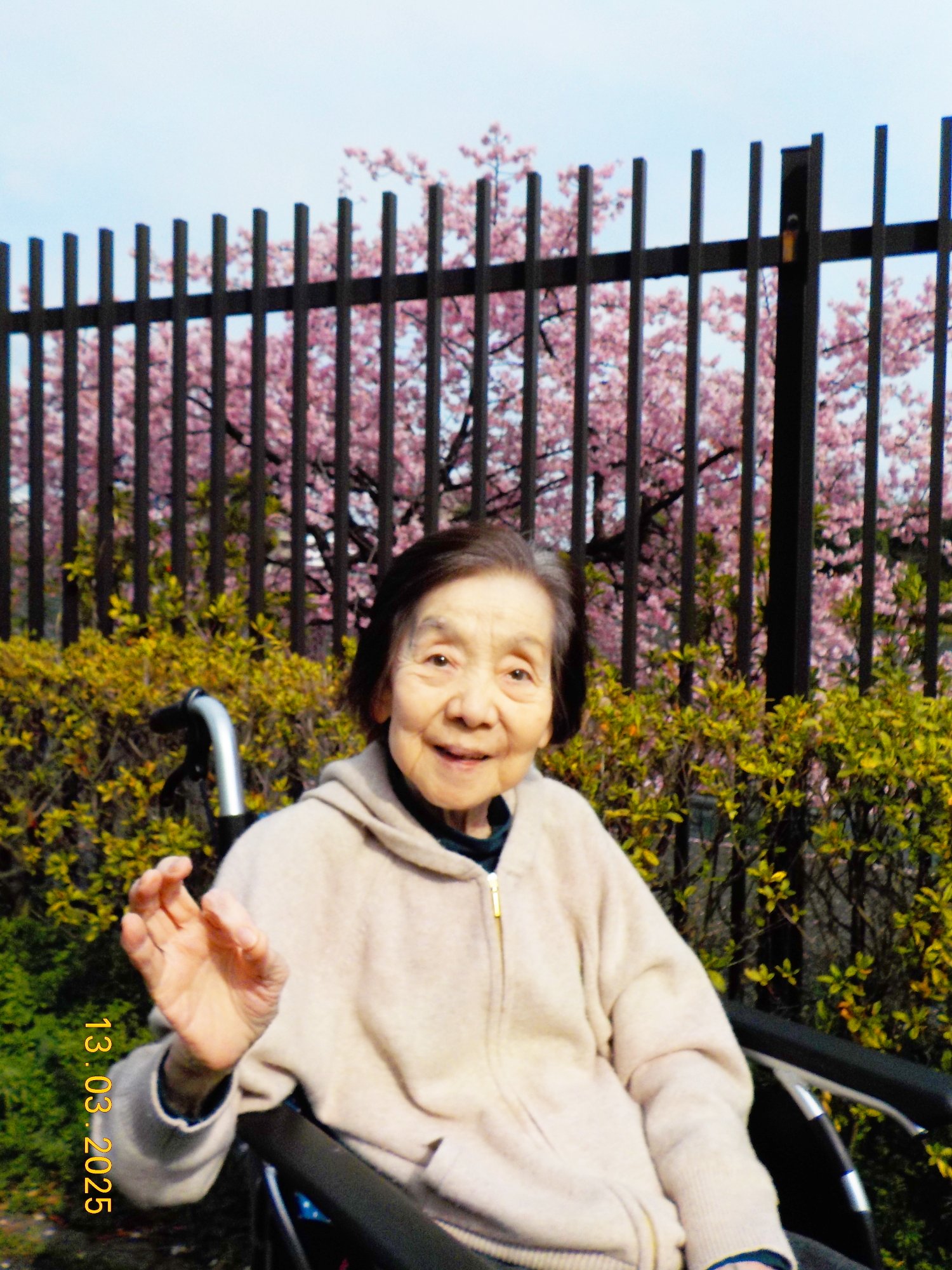 桜が咲きました！-2　ニチイホームはるひ野