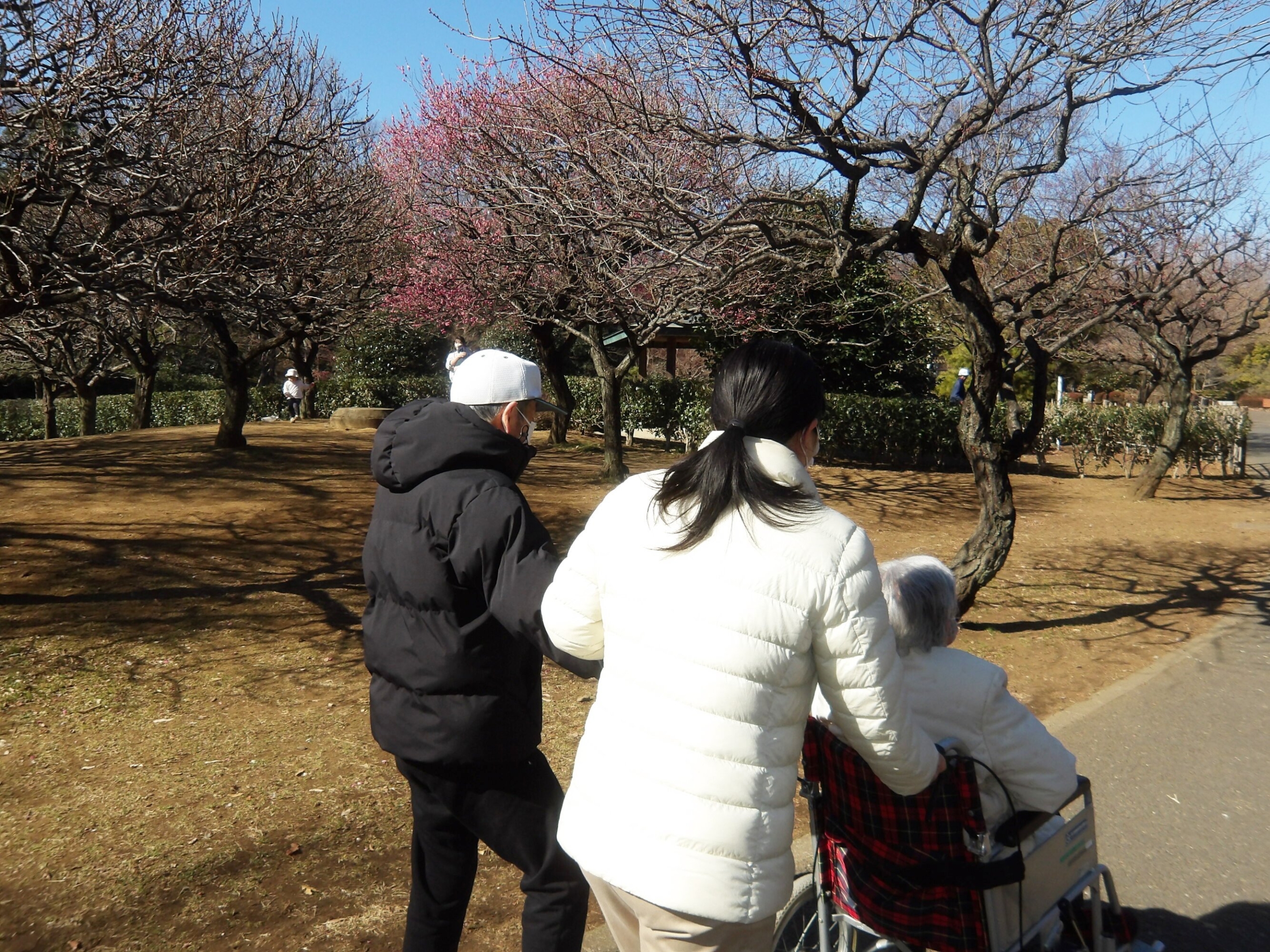 梅鑑賞-1　ニチイホーム東府中