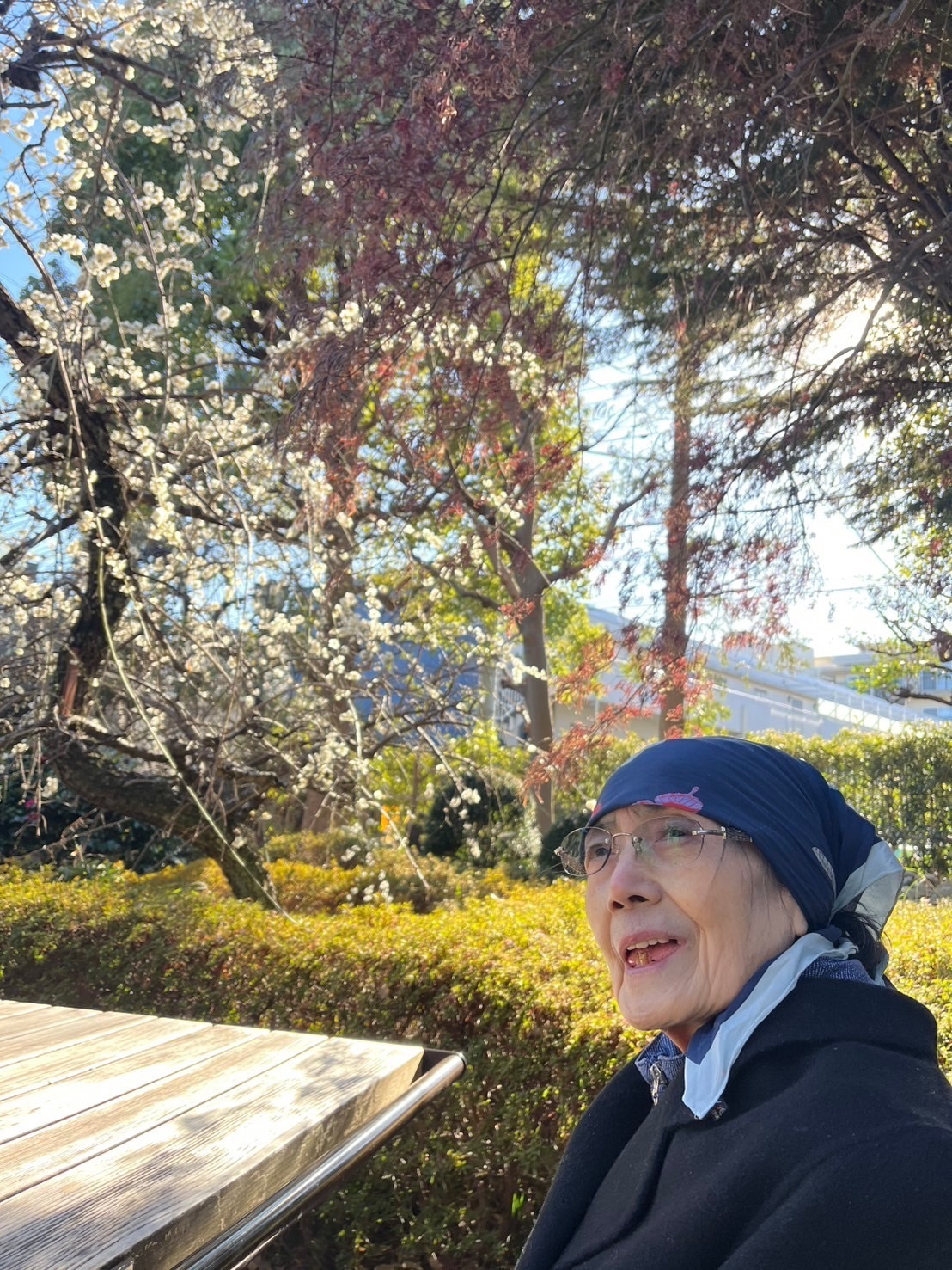 梅園散策-3　ニチイホーム久が原