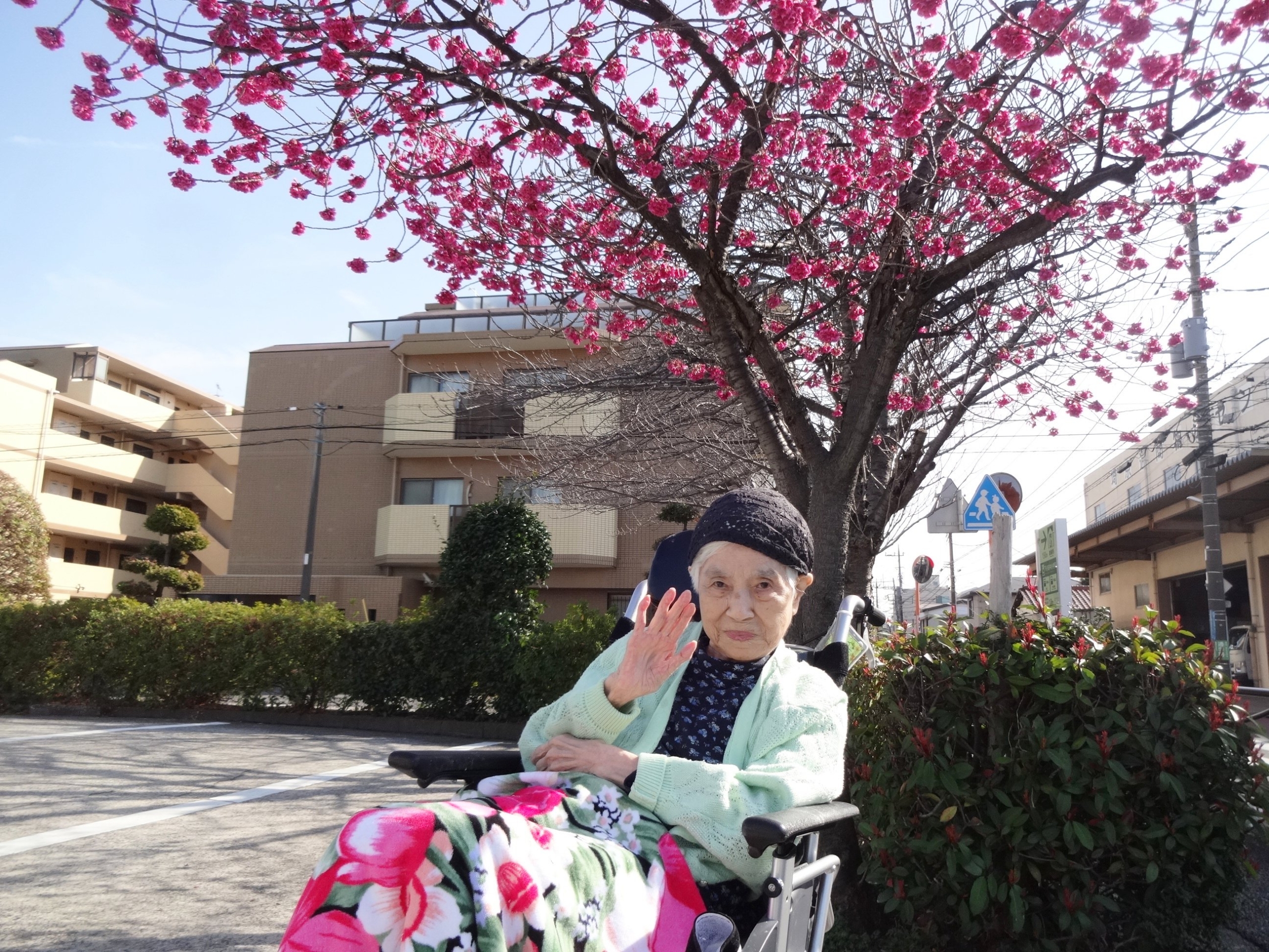 お花見-4　ニチイホーム元住吉