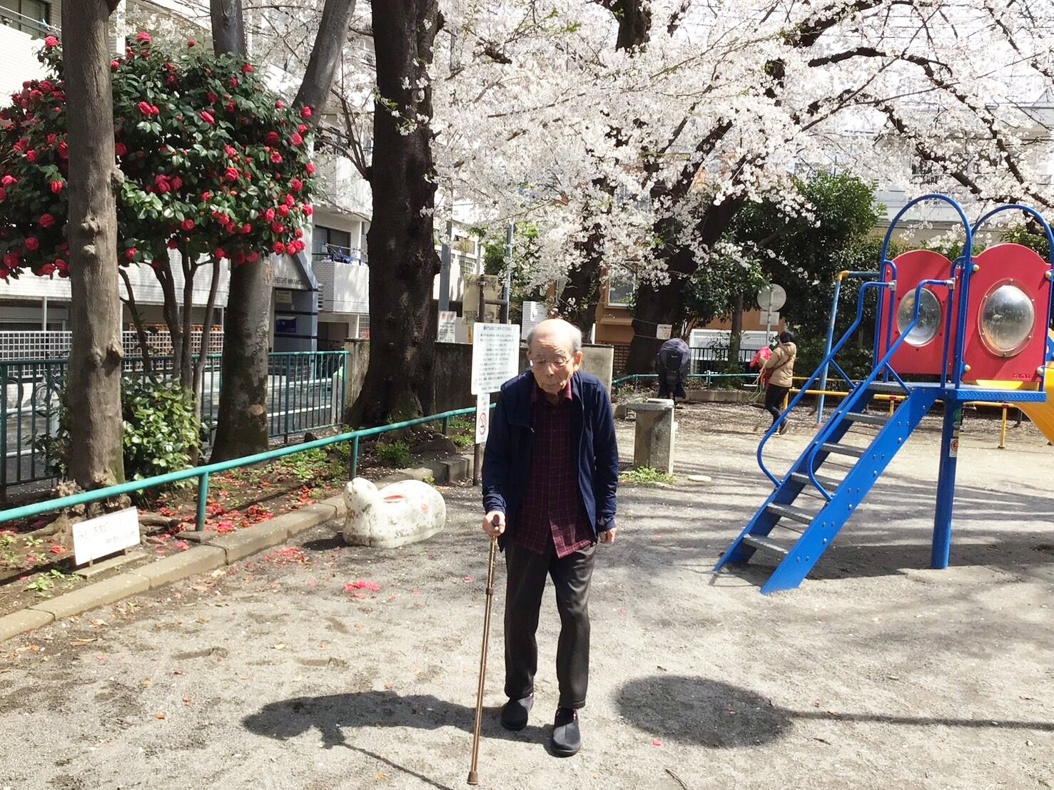 お花見　近隣公園編-1　ニチイホーム中野南台