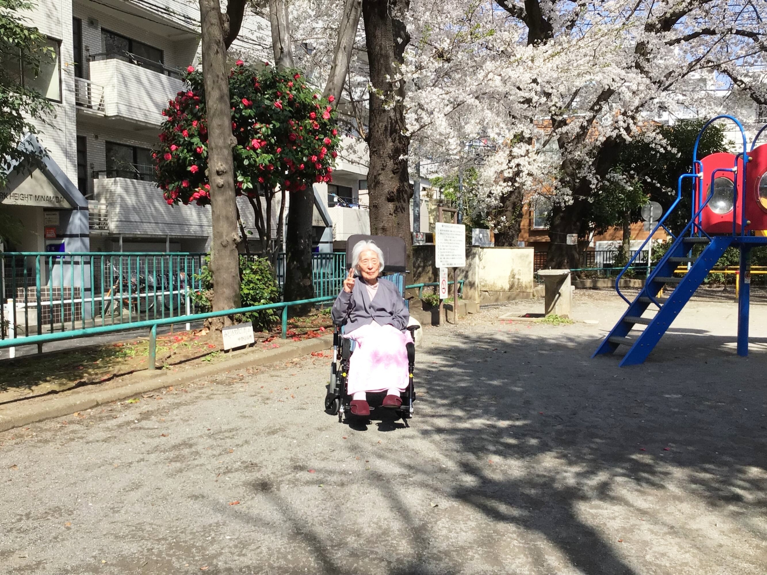 お花見　近隣公園編-2　ニチイホーム中野南台