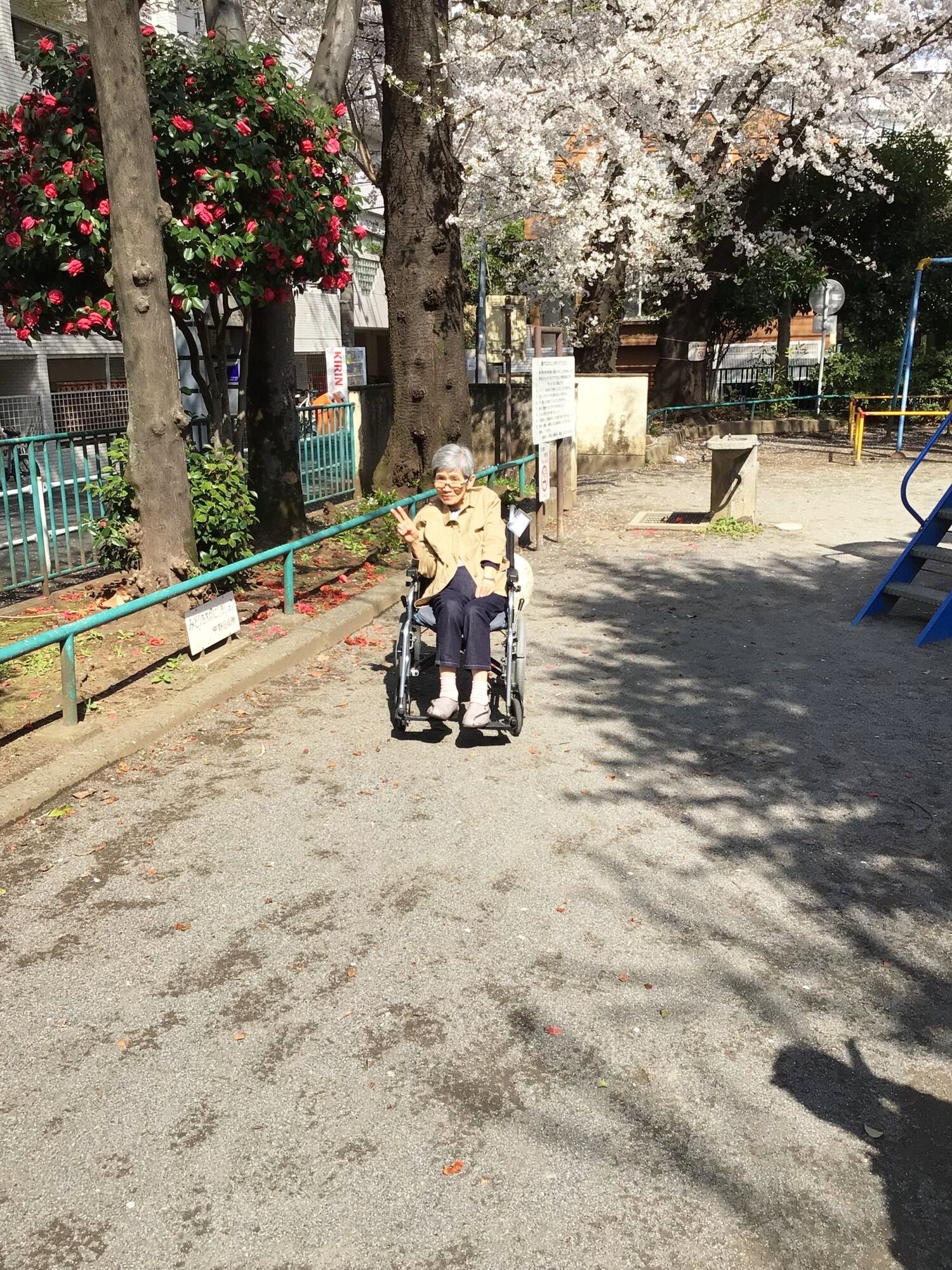 お花見　近隣公園編-3　ニチイホーム中野南台