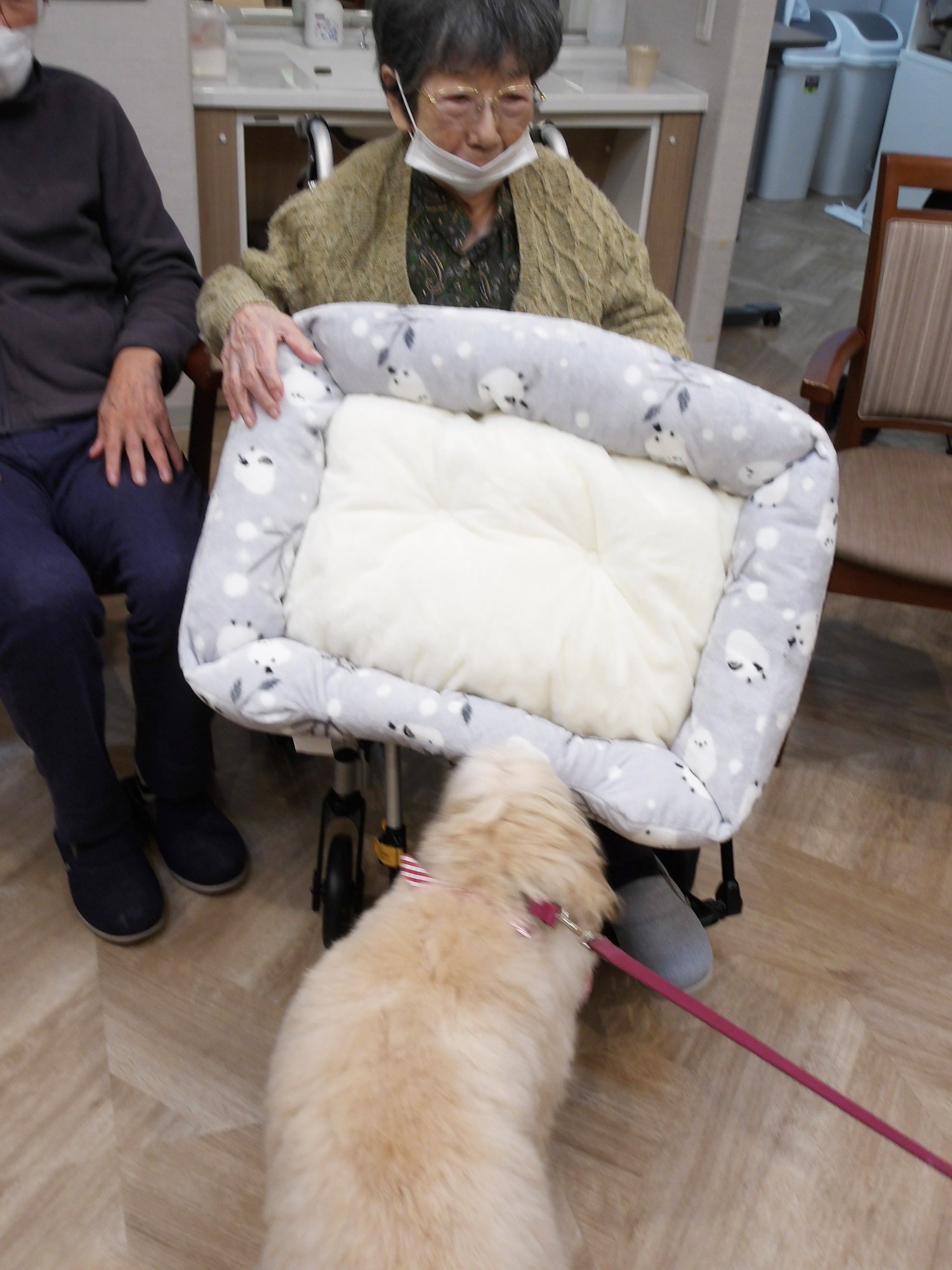 セラピー犬アミのお誕生日会-2　ニチイホーム野方