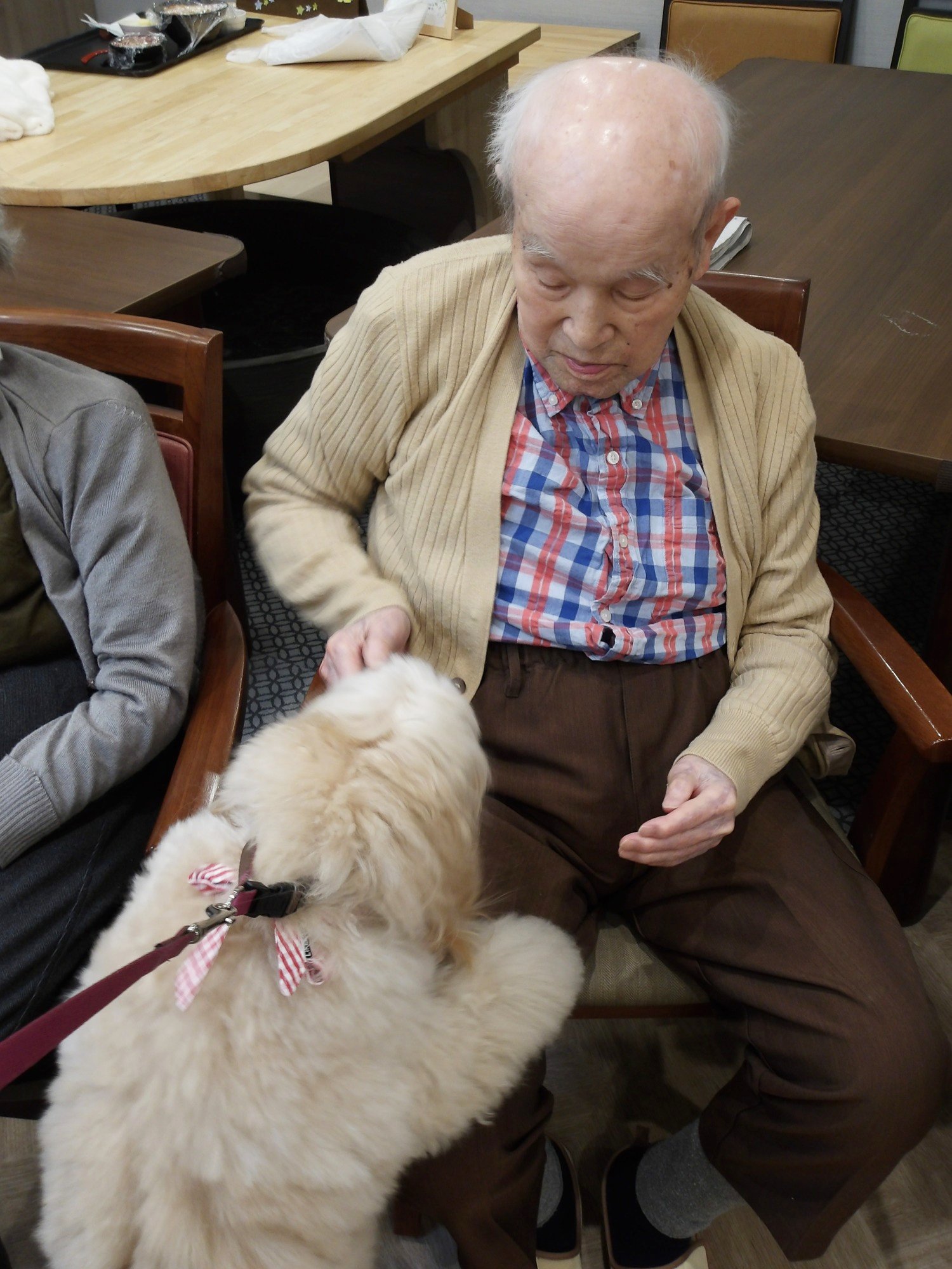 セラピー犬アミのお誕生日会-3　ニチイホーム野方