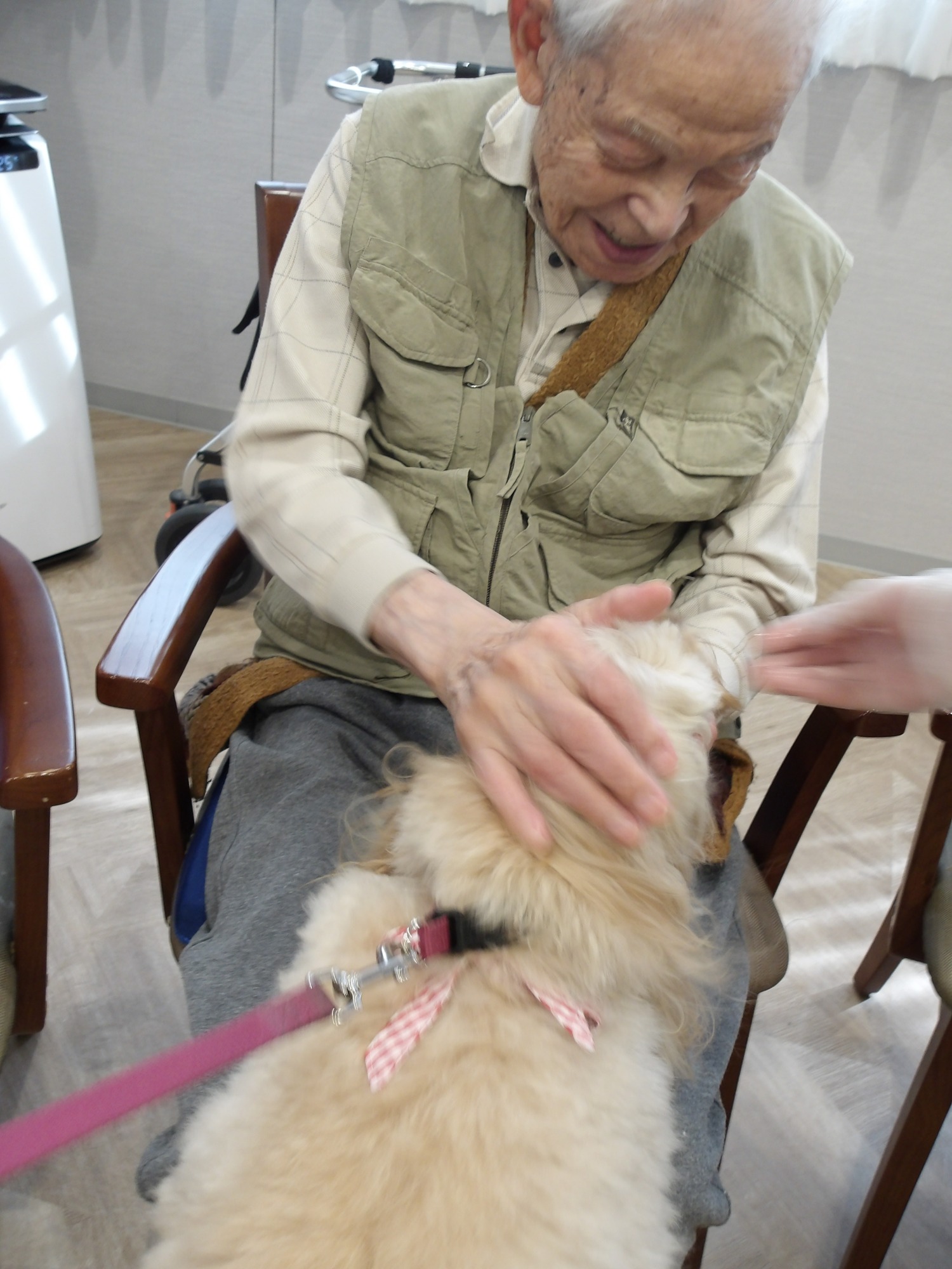 セラピー犬アミのお誕生日会-4　ニチイホーム野方
