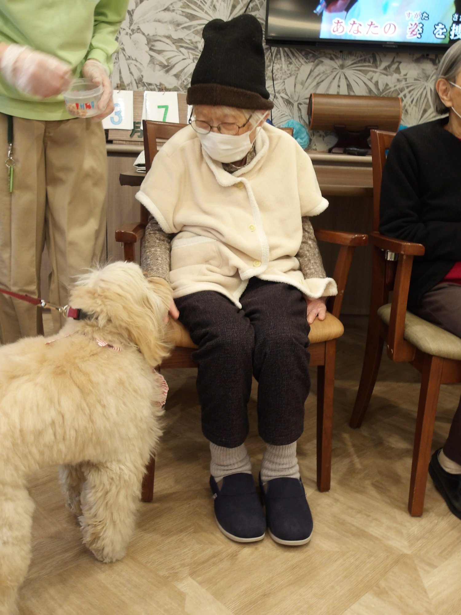 セラピー犬アミのお誕生日会-5　ニチイホーム野方
