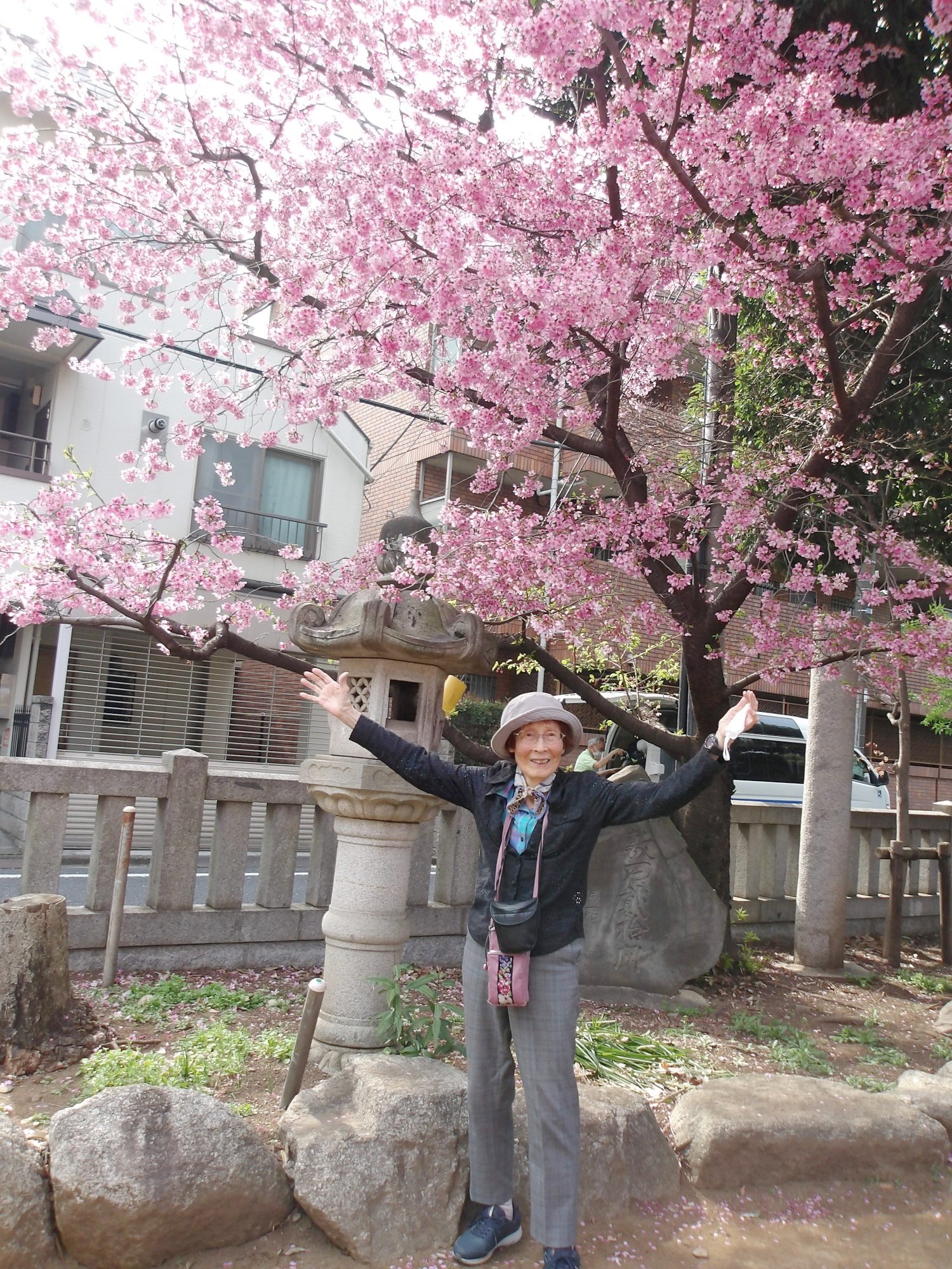 プリンセス雅（桜）-1　ニチイホーム野方
