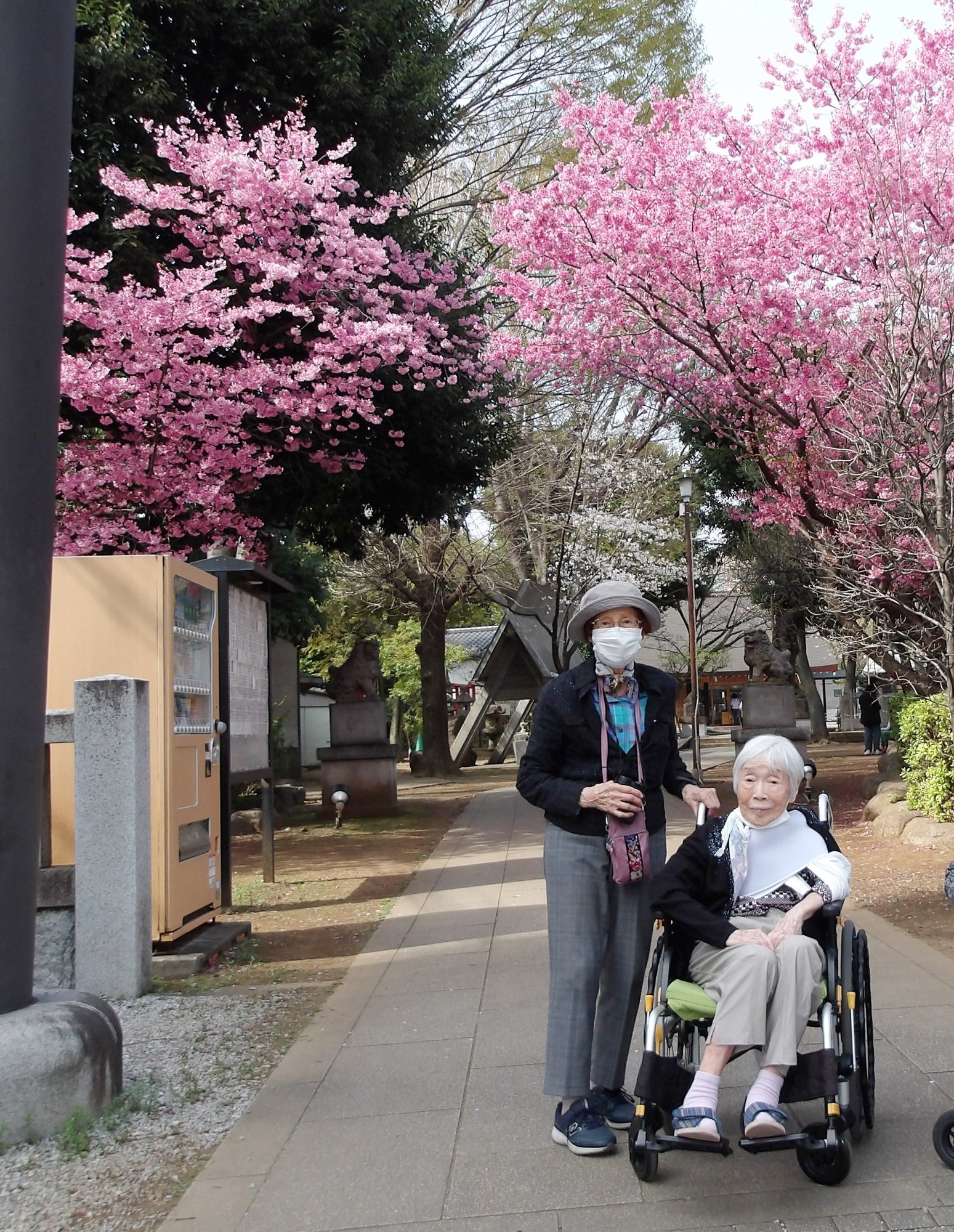 プリンセス雅（桜）-3　ニチイホーム野方