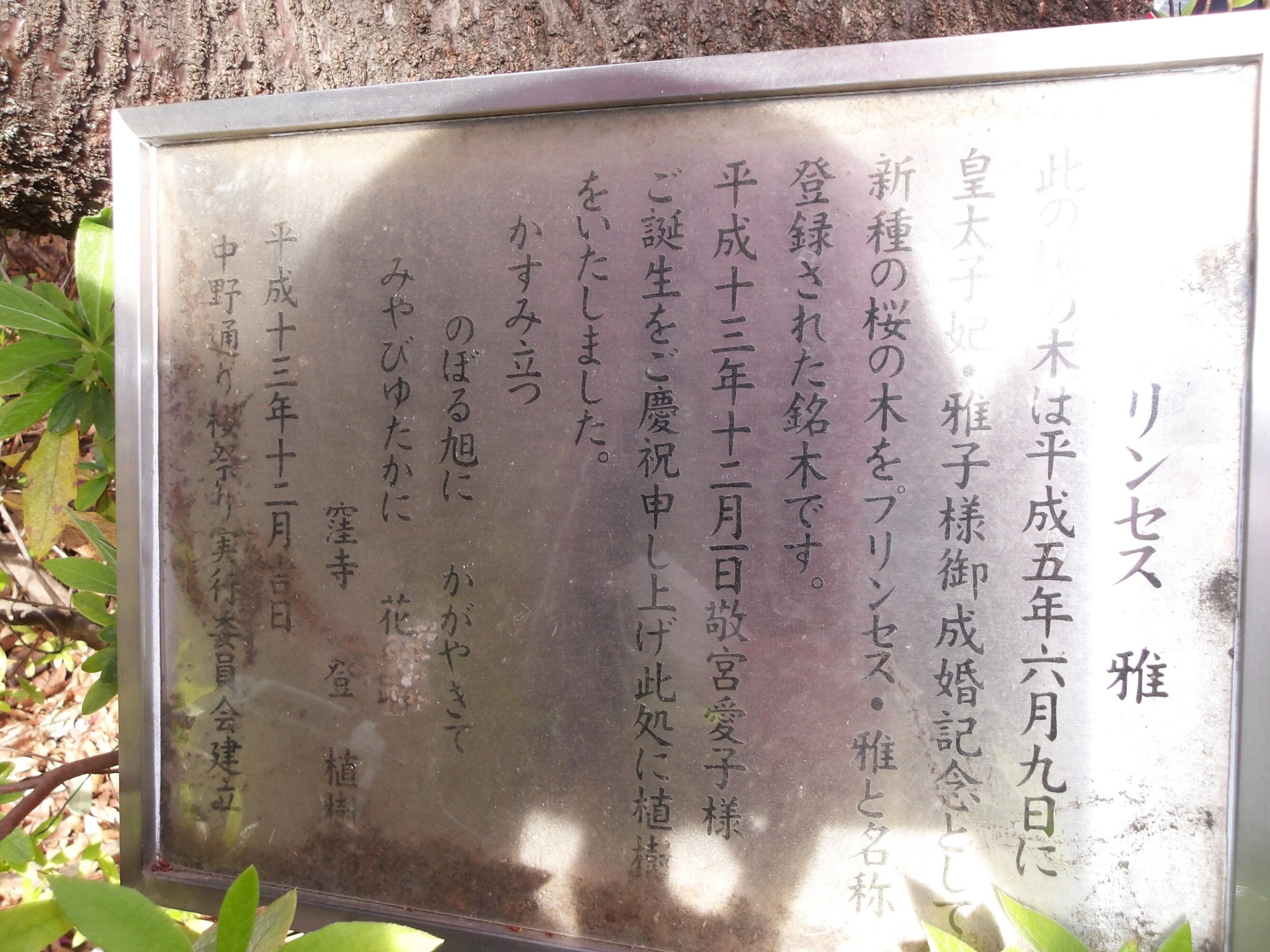 プリンセス雅（桜）-4　ニチイホーム野方