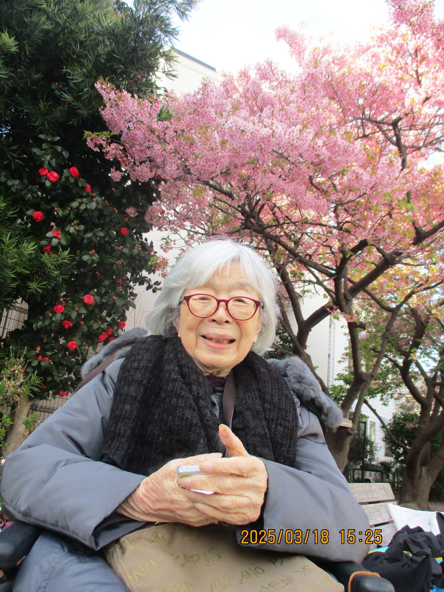 お花見-3　ニチイホーム大倉山