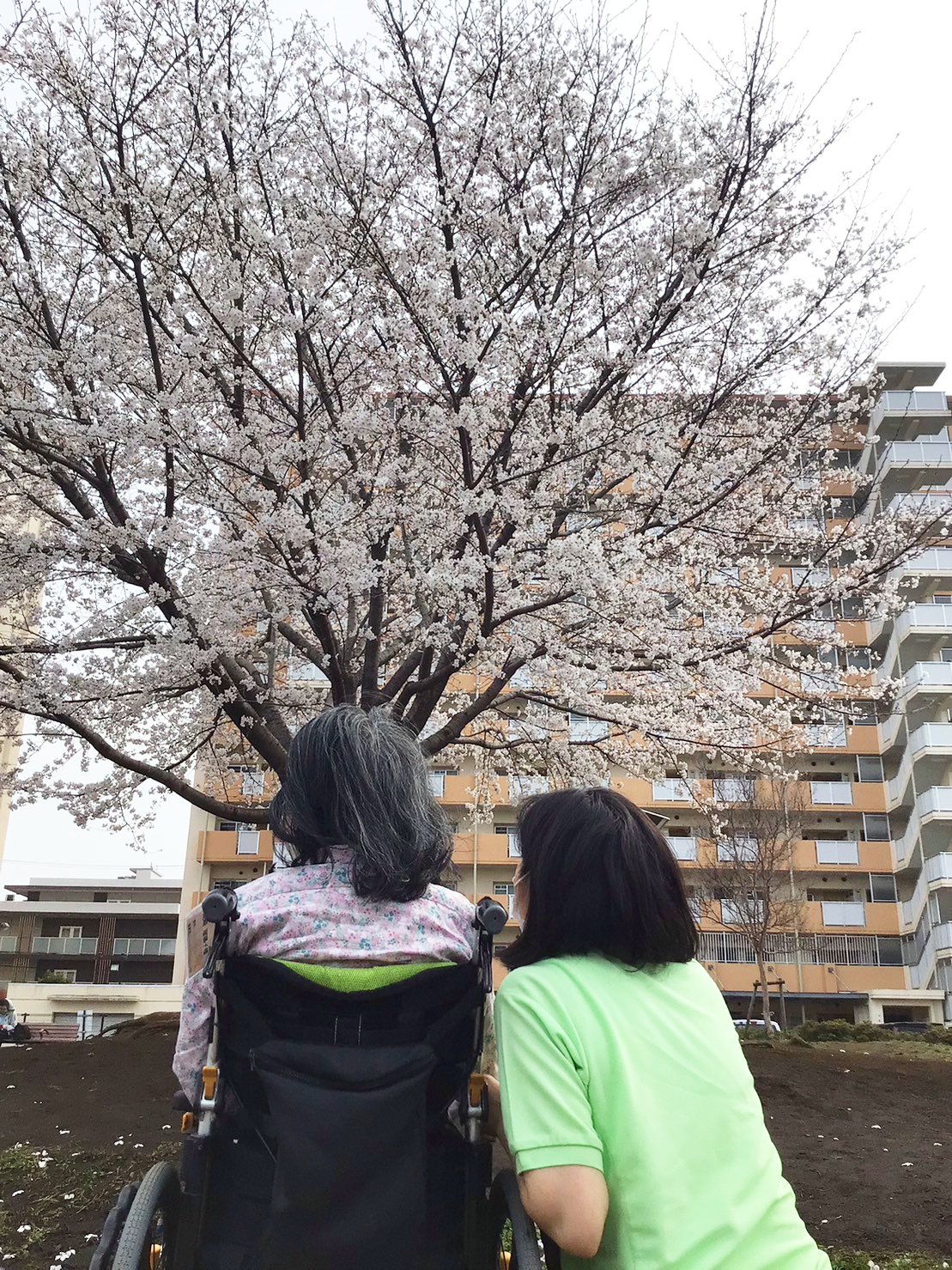 お花見-3　ニチイホーム鷺ノ宮