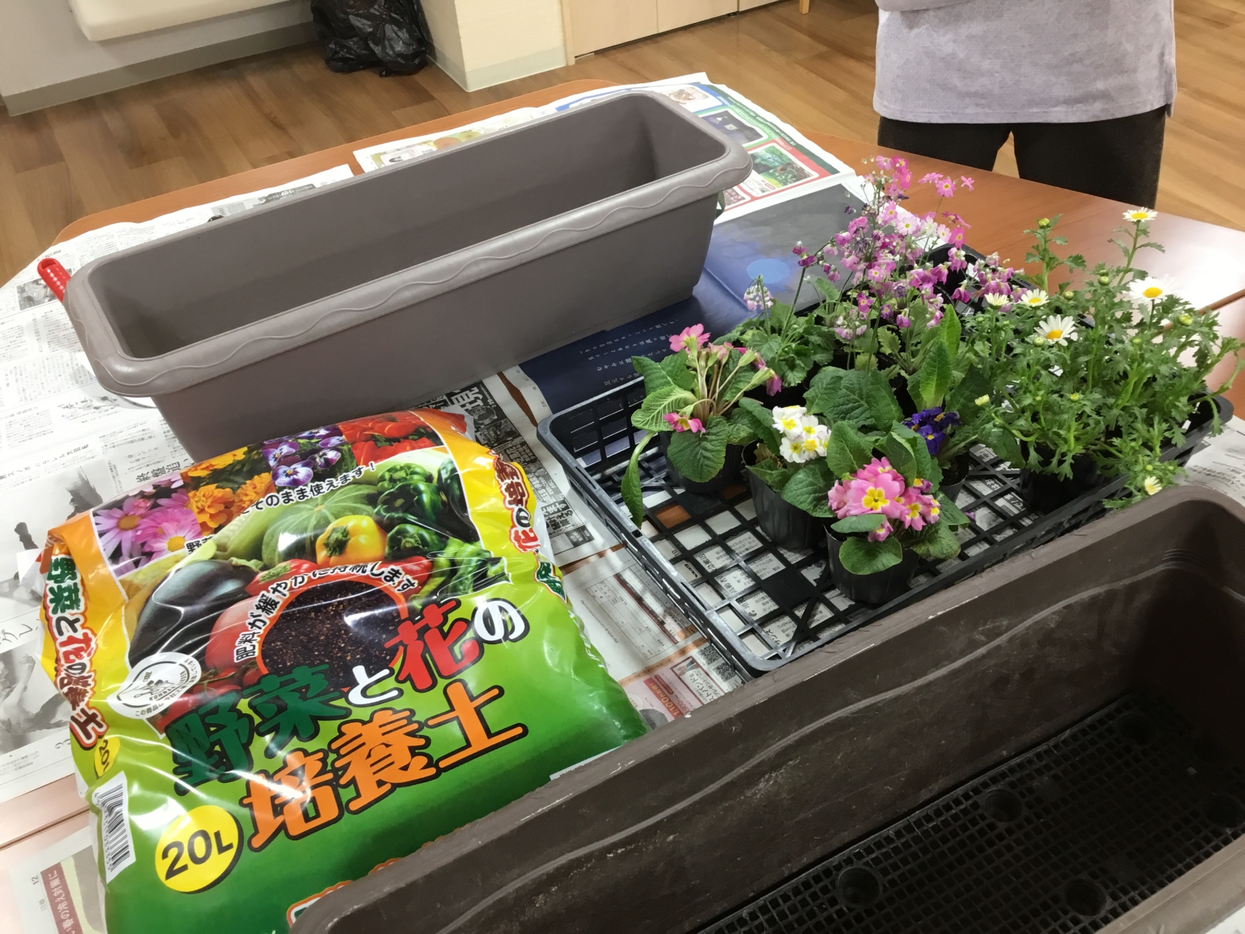 春の準備♪お花の植え替え　ニチイメゾン千里園