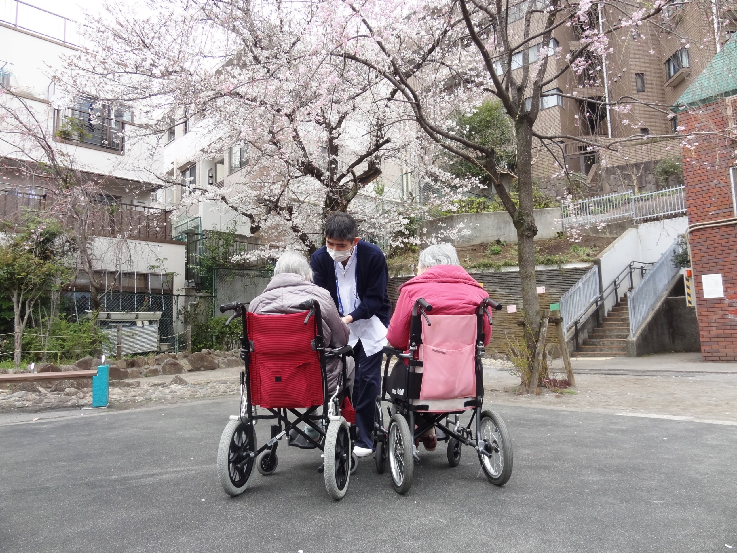お花見＆園芸-3　ニチイホーム渋谷本町