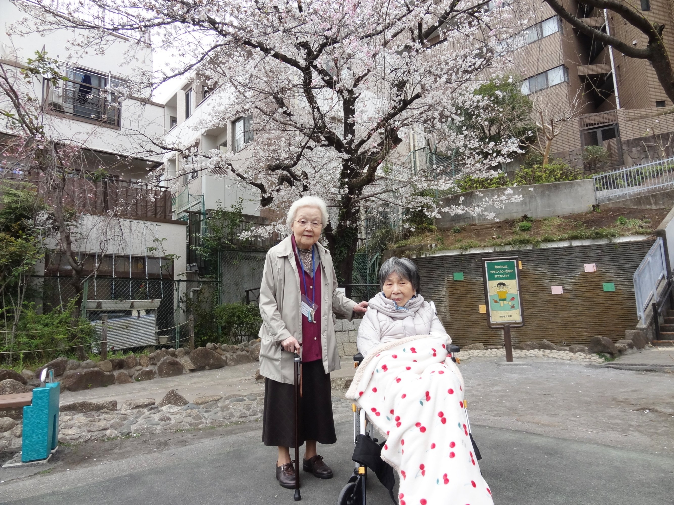 お花見＆園芸-1　ニチイホーム渋谷本町