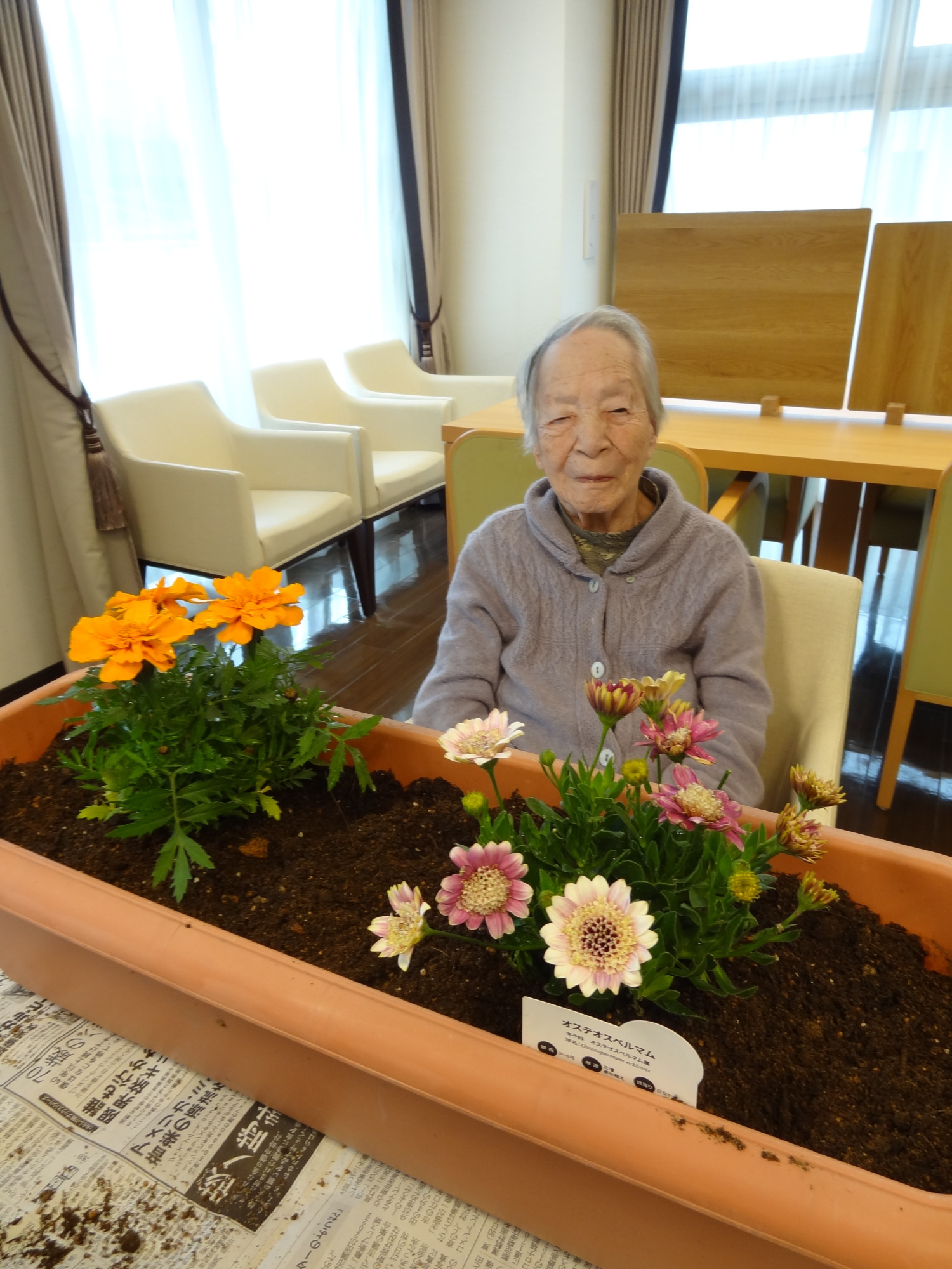 お花見＆園芸-4　ニチイホーム渋谷本町