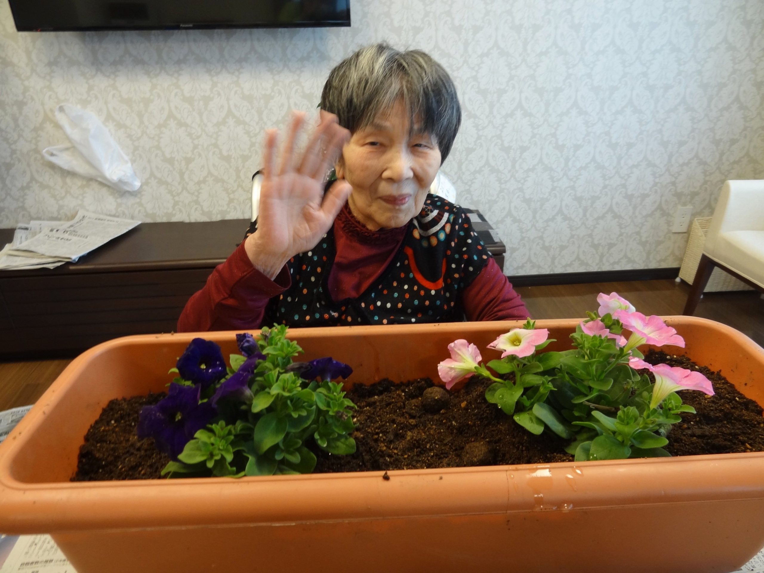 お花見＆園芸-5　ニチイホーム渋谷本町