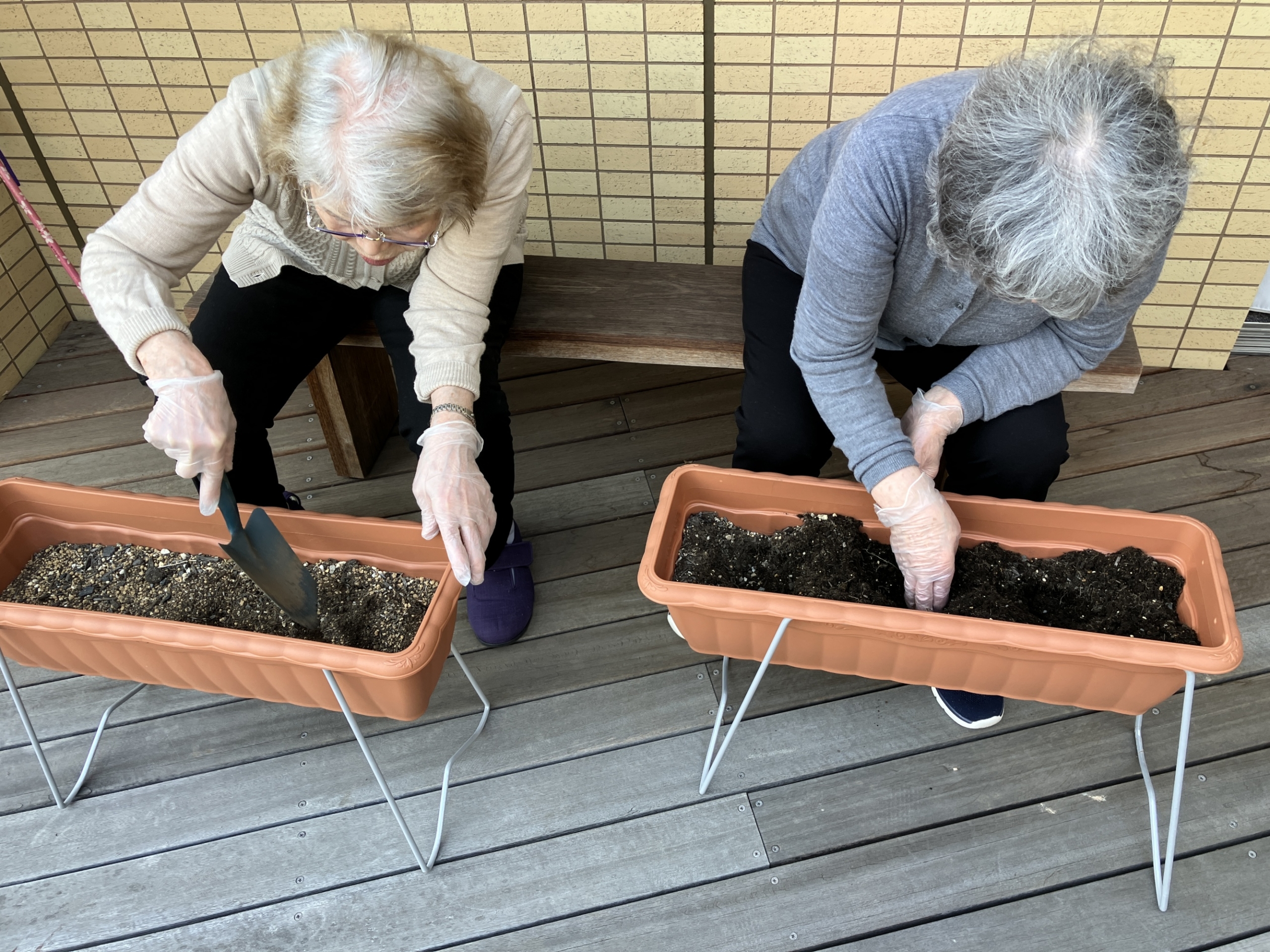 園芸-2　ニチイホーム杉並松庵