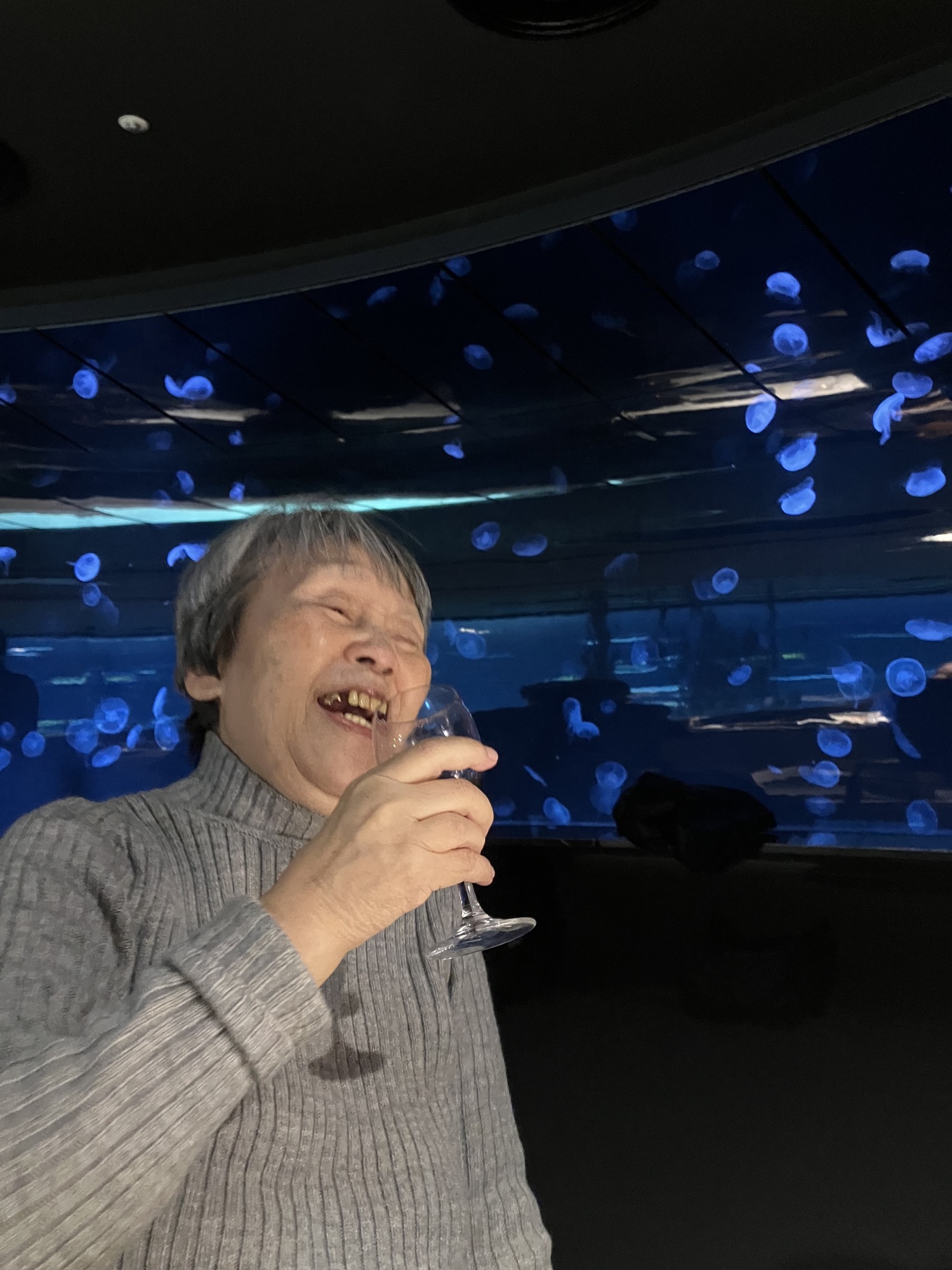 水族館にてディナーを-1　ニチイホーム墨田