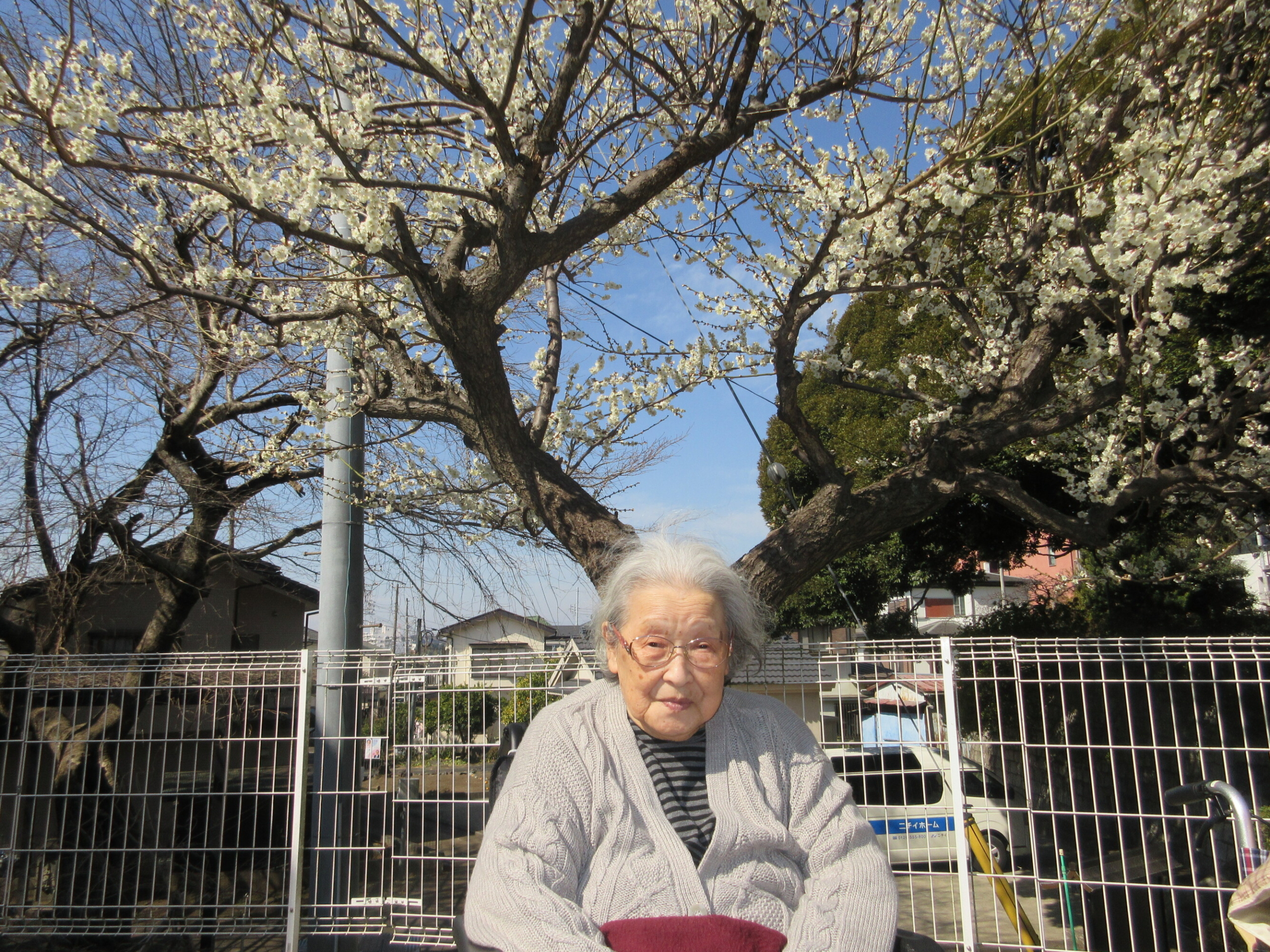 神社散策-3　ニチイホーム戸塚