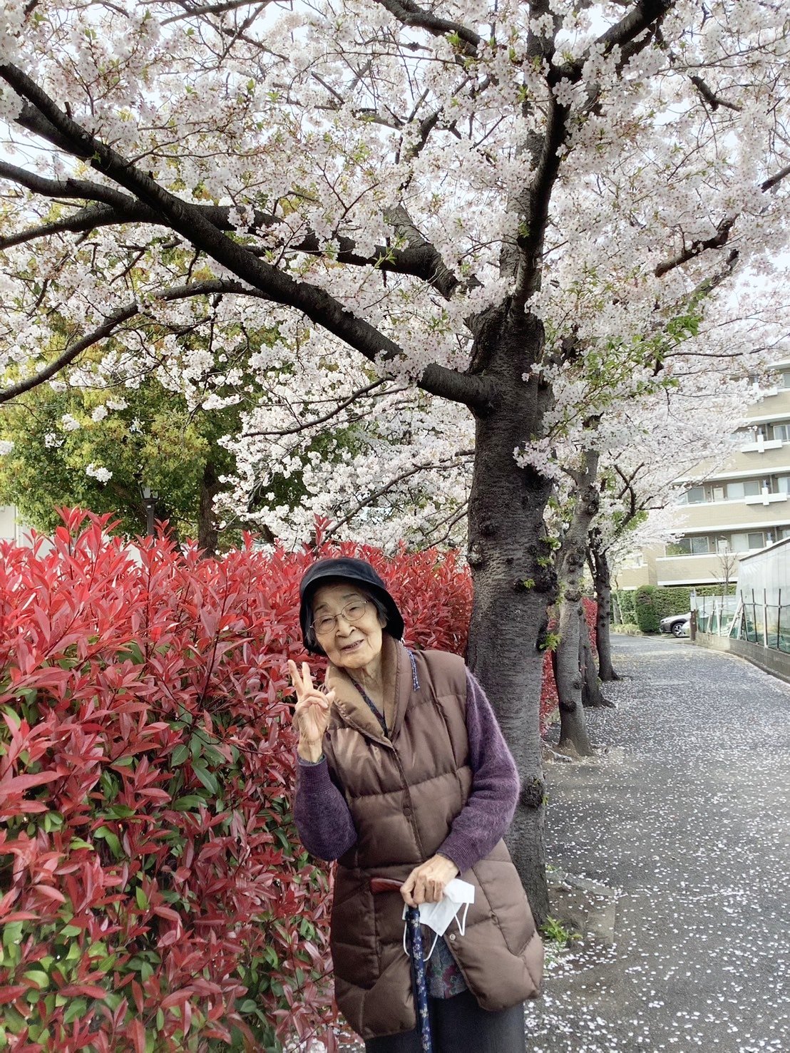 お花見-1　ニチイホーム江戸川