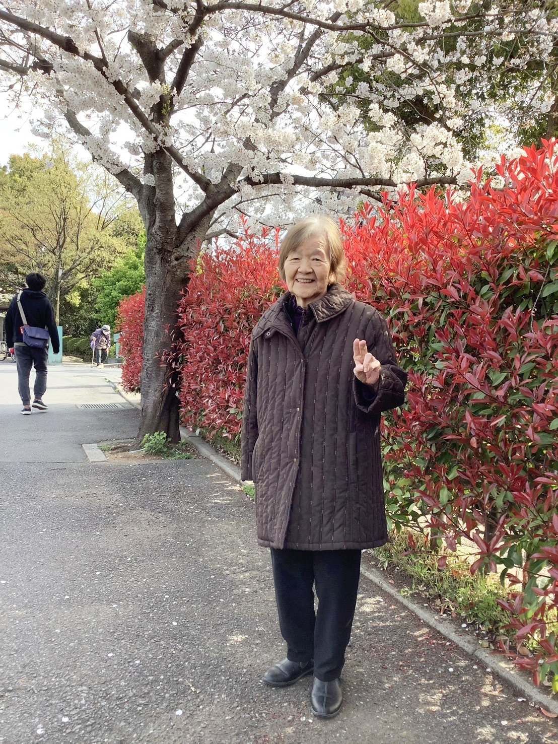お花見-2　ニチイホーム江戸川