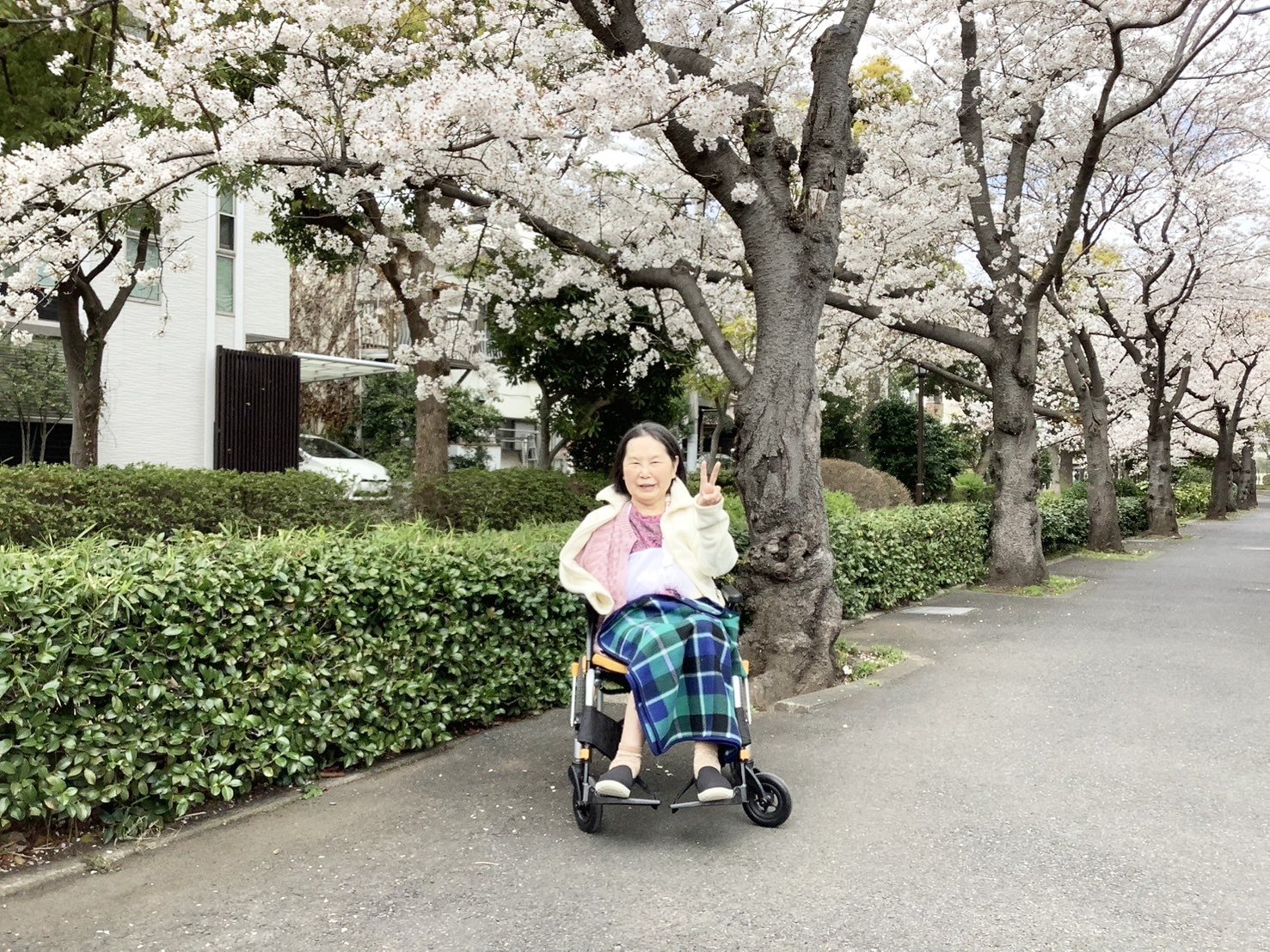 お花見-3　ニチイホーム江戸川