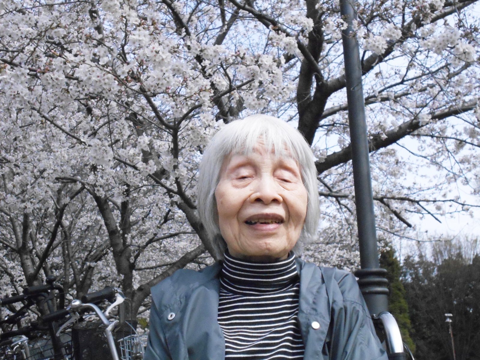 近隣の公園でお花見散歩-1　ニチイホーム江古田の杜