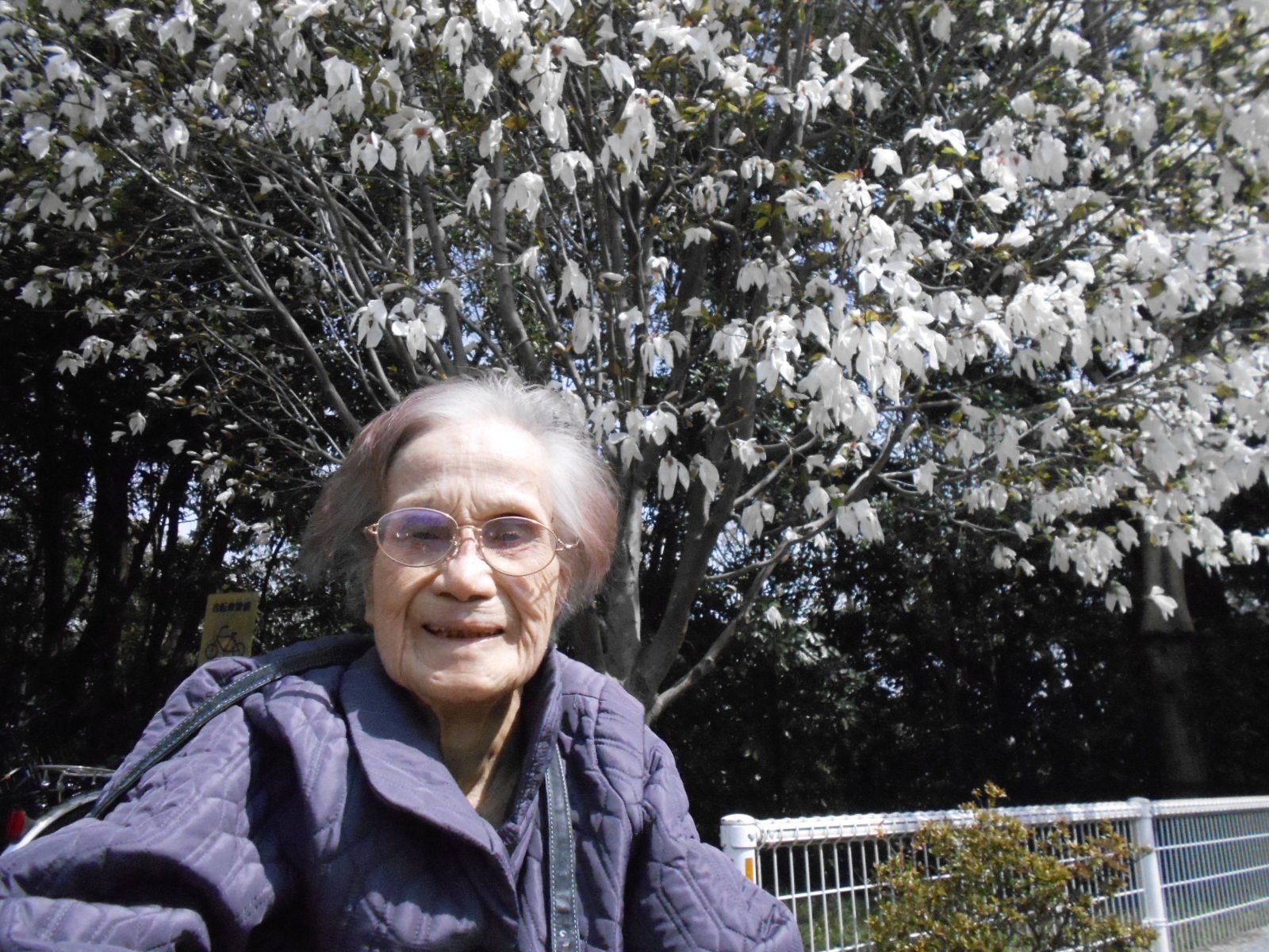 近隣の公園でお花見散歩-3　ニチイホーム江古田の杜