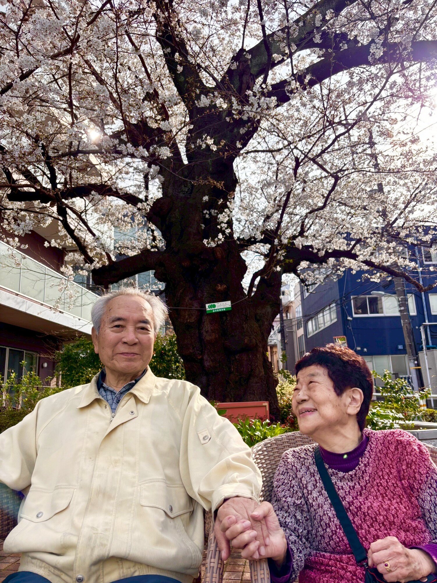 不動前のさくら-6　ニチイホーム不動前