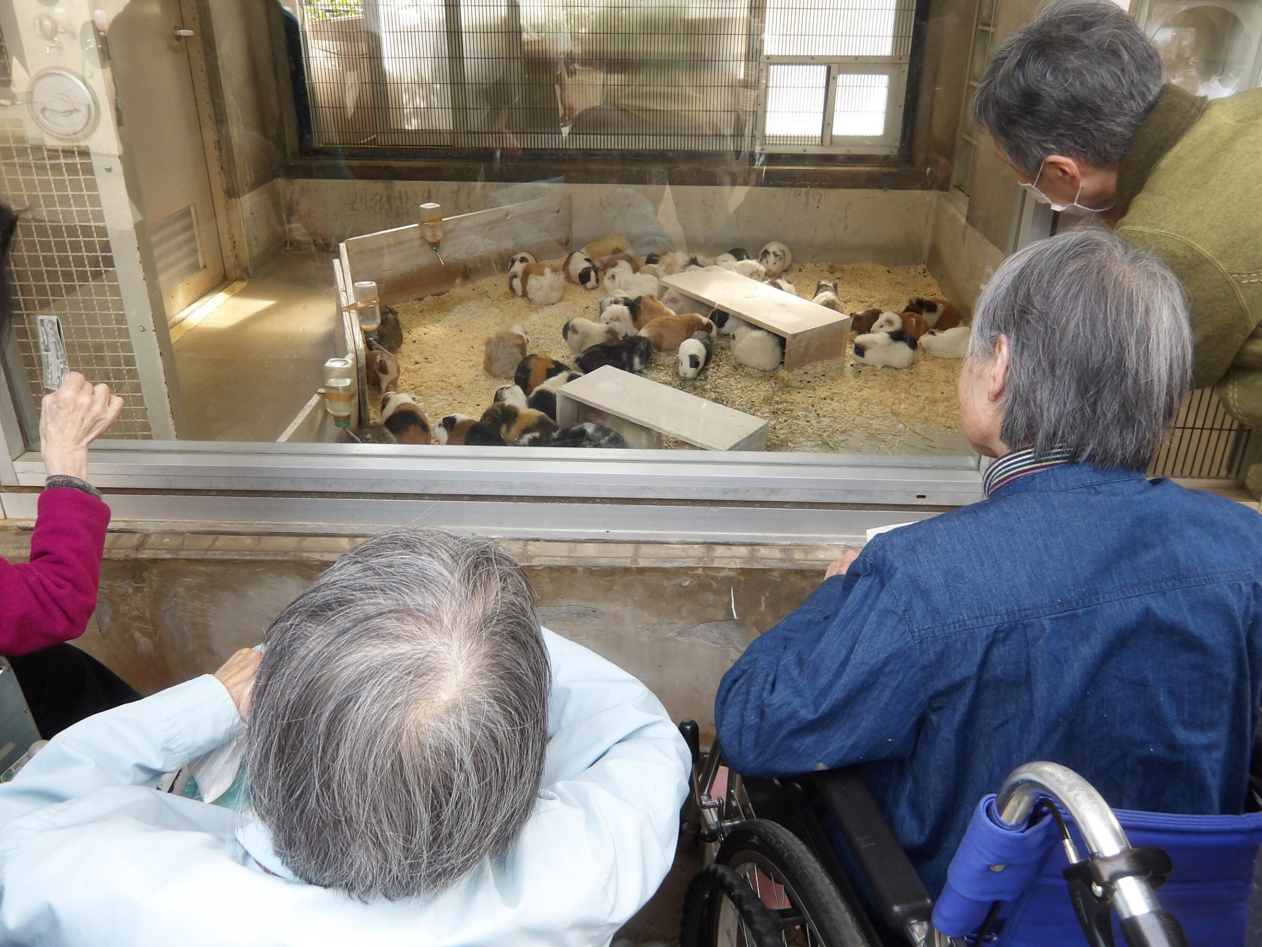 井の頭自然文化園へ-2　ニチイホーム東府中