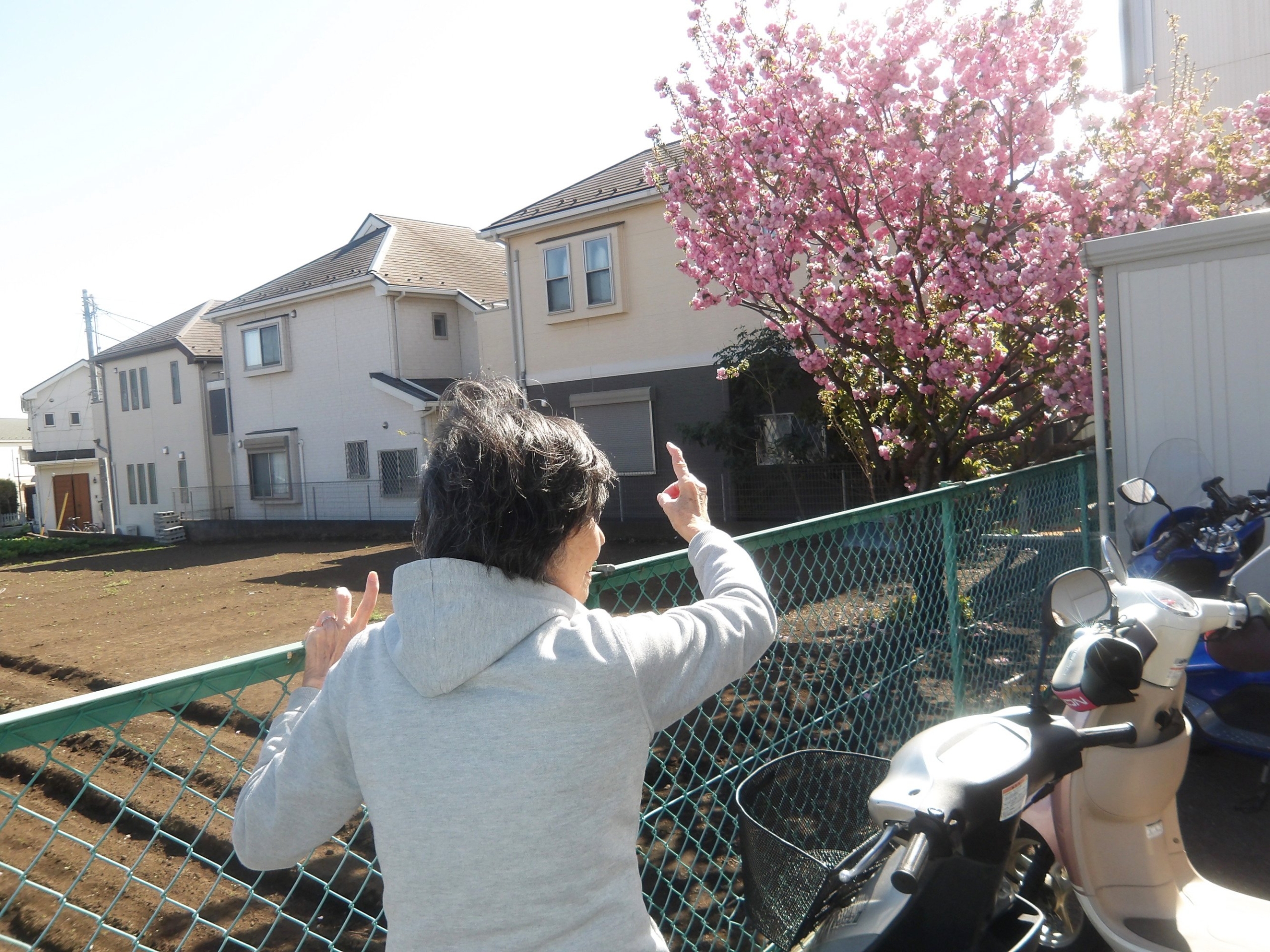 お散歩-1　ニチイホーム東府中