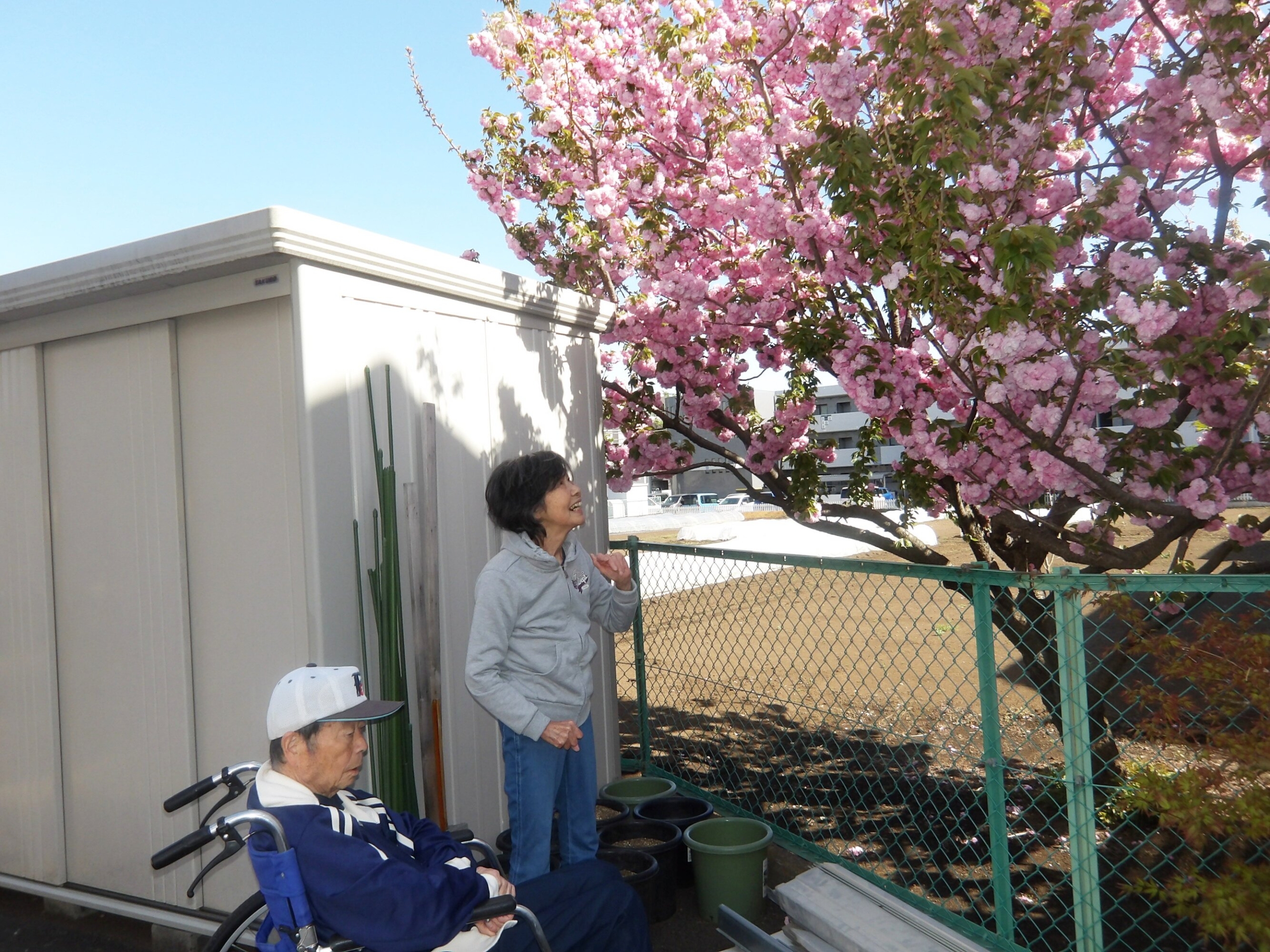 お散歩-2　ニチイホーム東府中