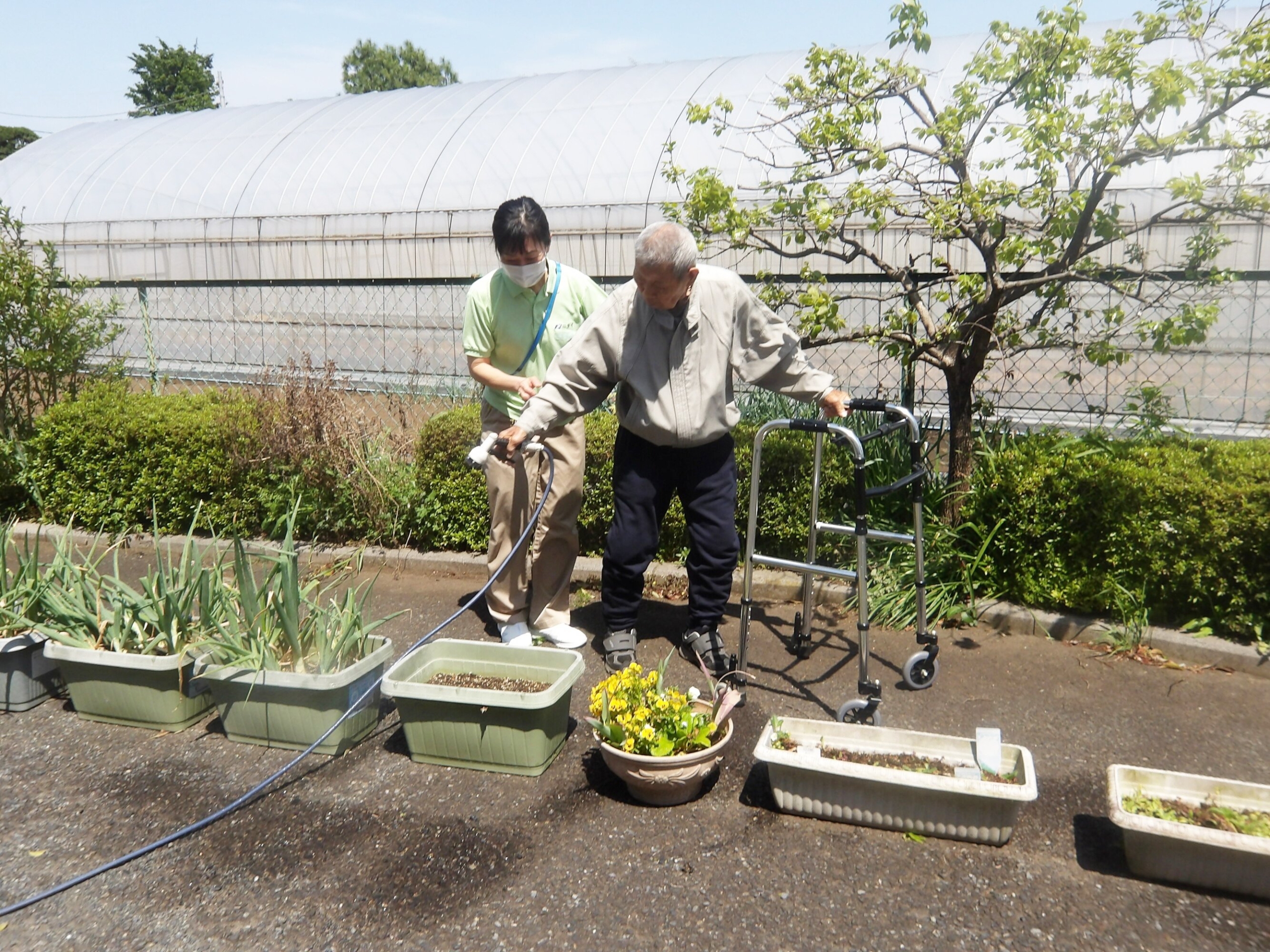 野菜への水やり-1　ニチイホーム東府中