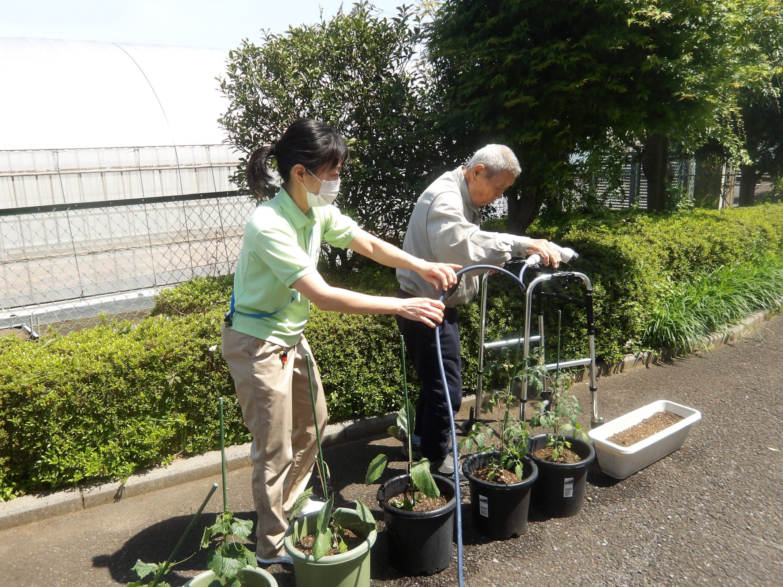 野菜への水やり-2　ニチイホーム東府中