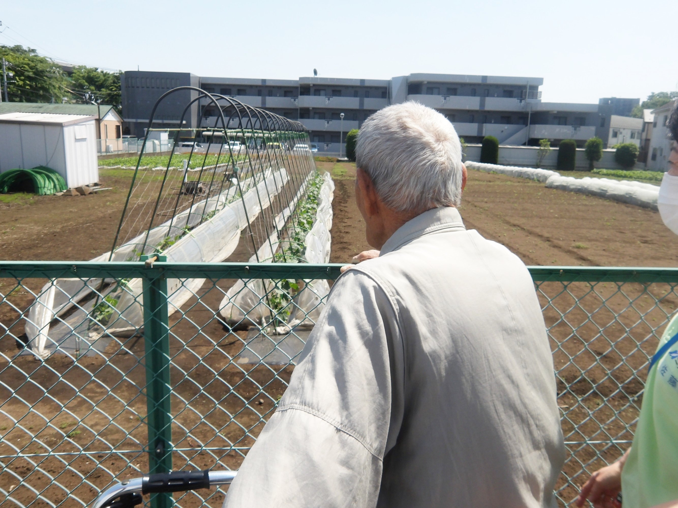 野菜への水やり-3　ニチイホーム東府中