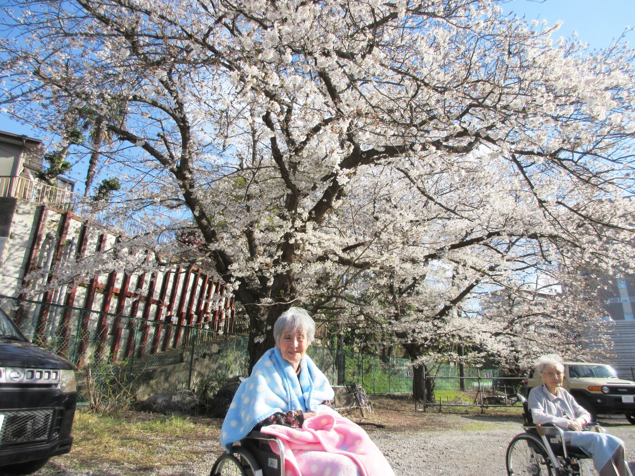 お花見-4　ニチイホーム東船橋