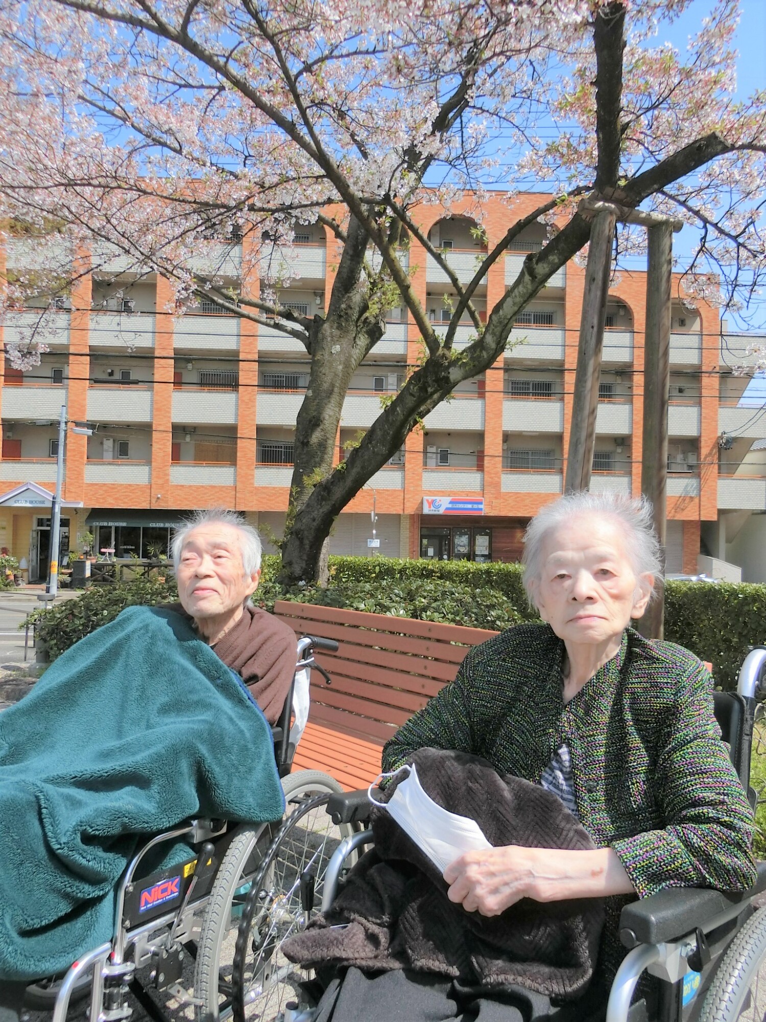 お花見-3　ニチイホーム星ヶ丘