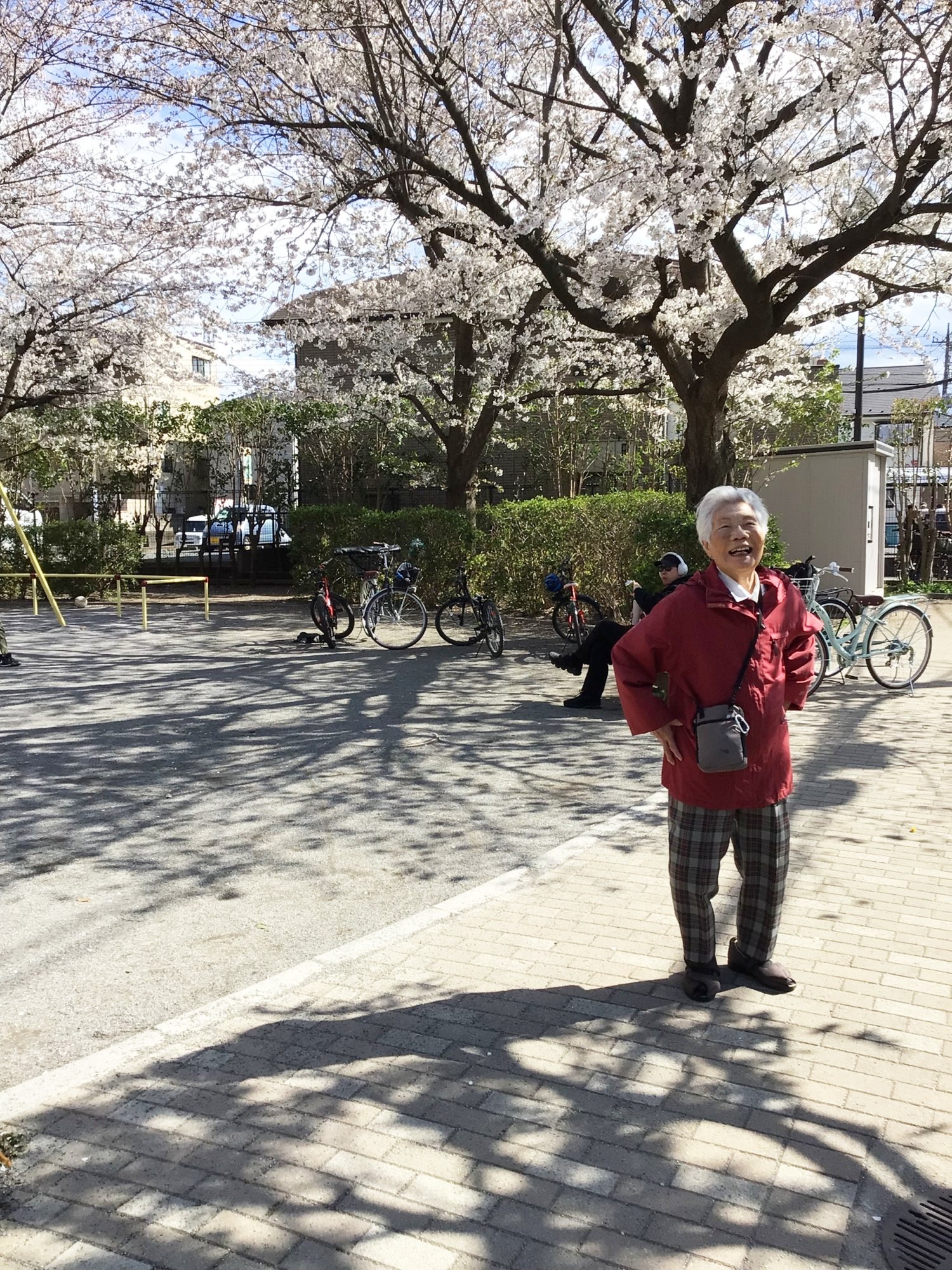 春の訪れ-1　ニチイホーム板橋徳丸
