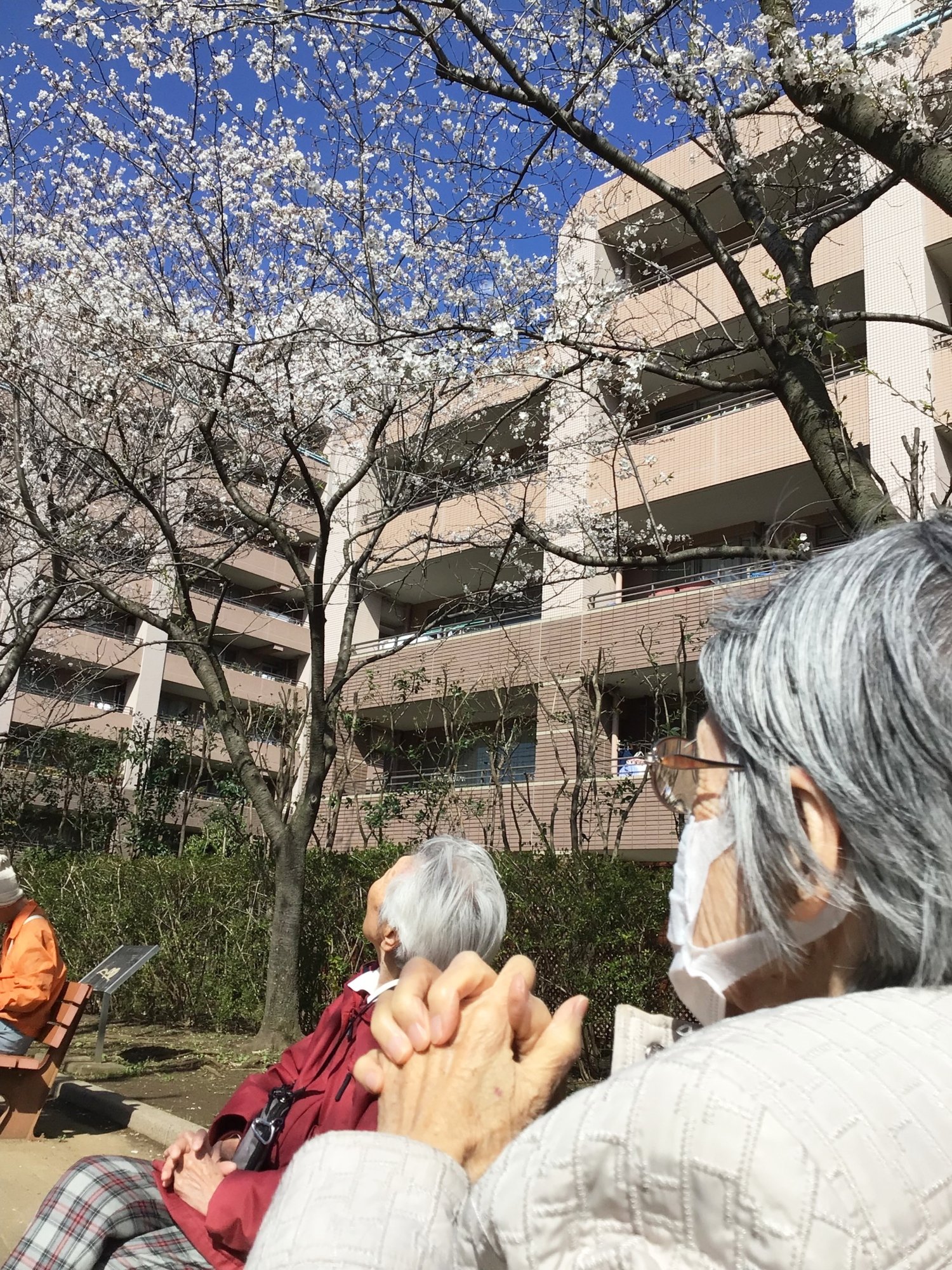 春の訪れ-2　ニチイホーム板橋徳丸