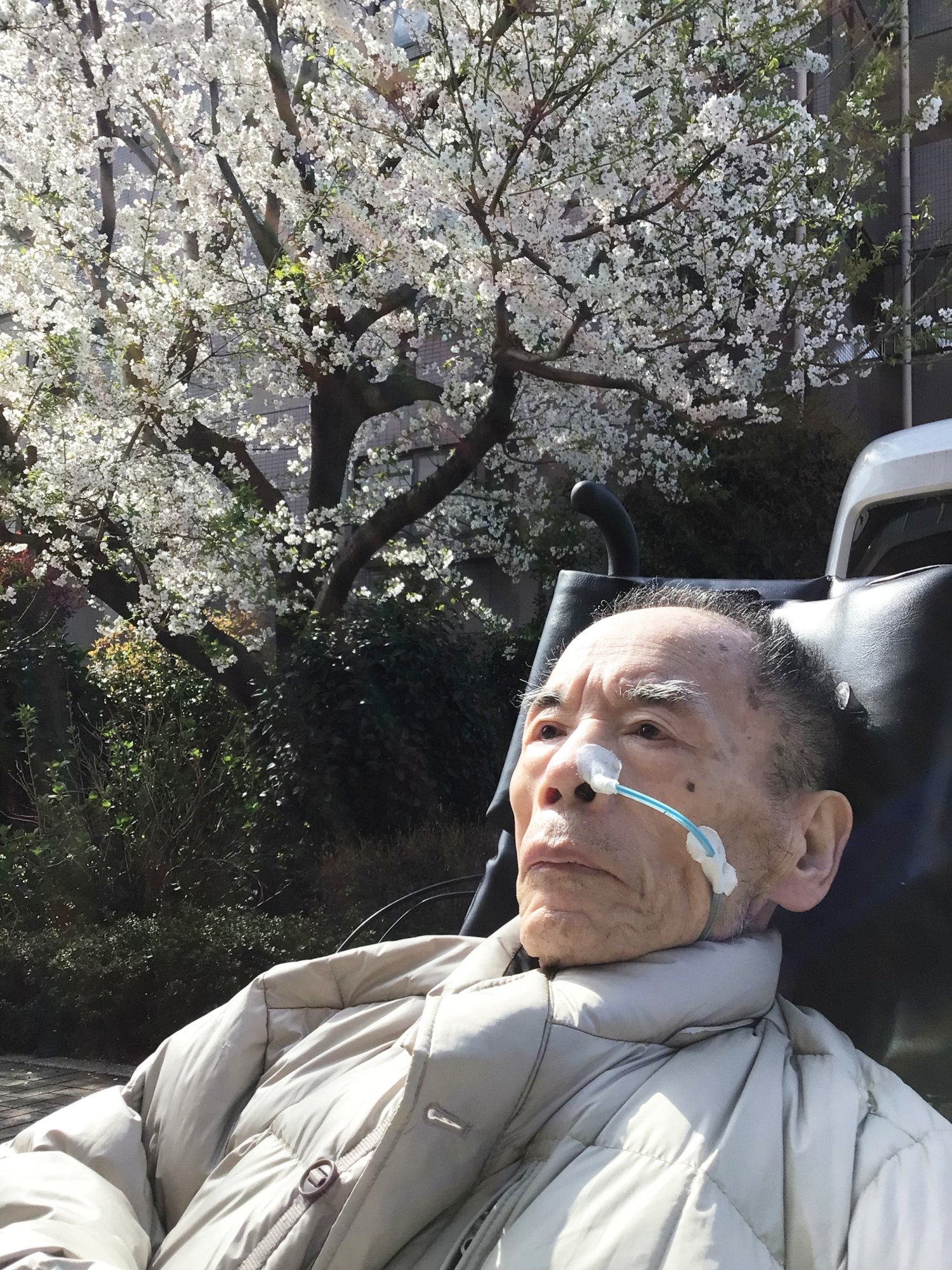 春の訪れ-5　ニチイホーム板橋徳丸