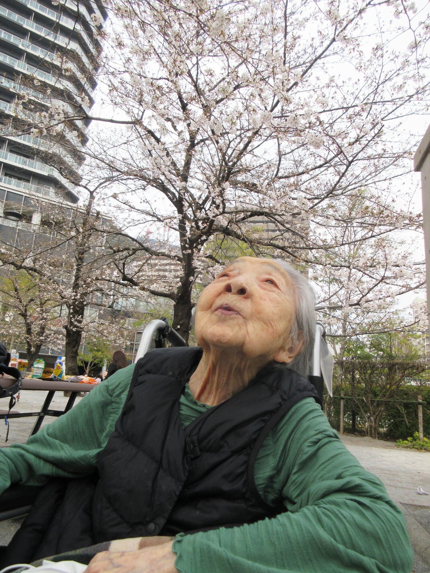 102歳の春-1　ニチイホーム勝どき